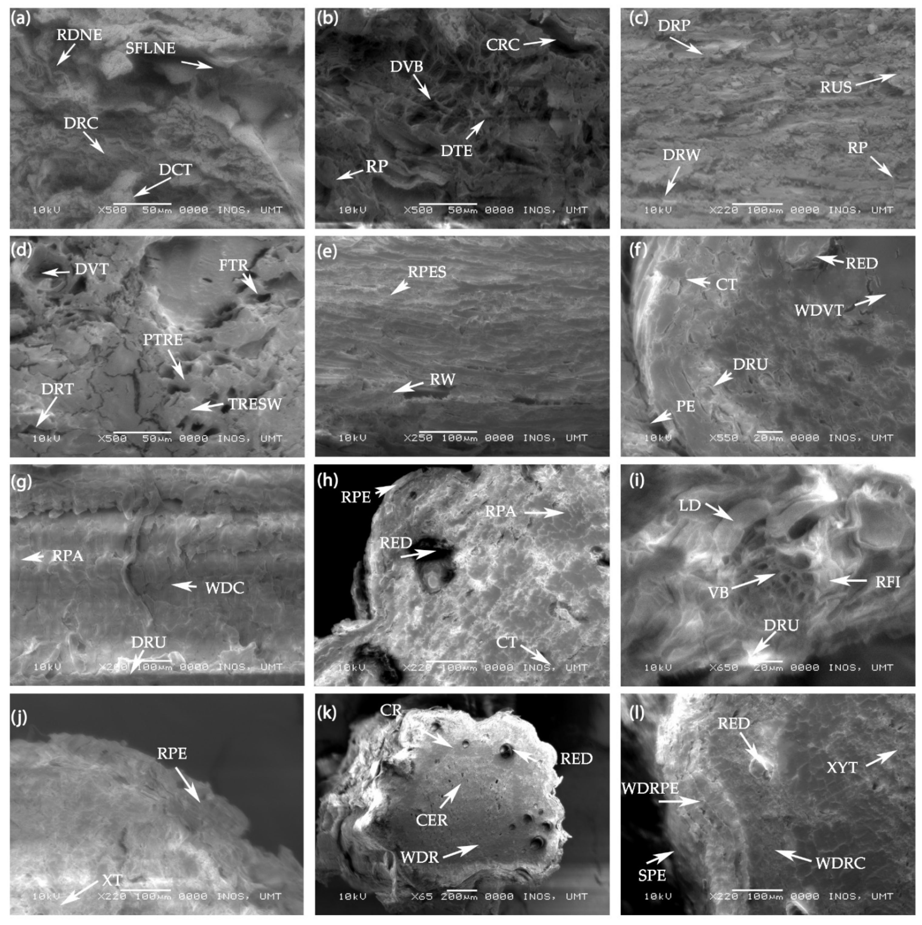 Agronomy 11 00704 g007