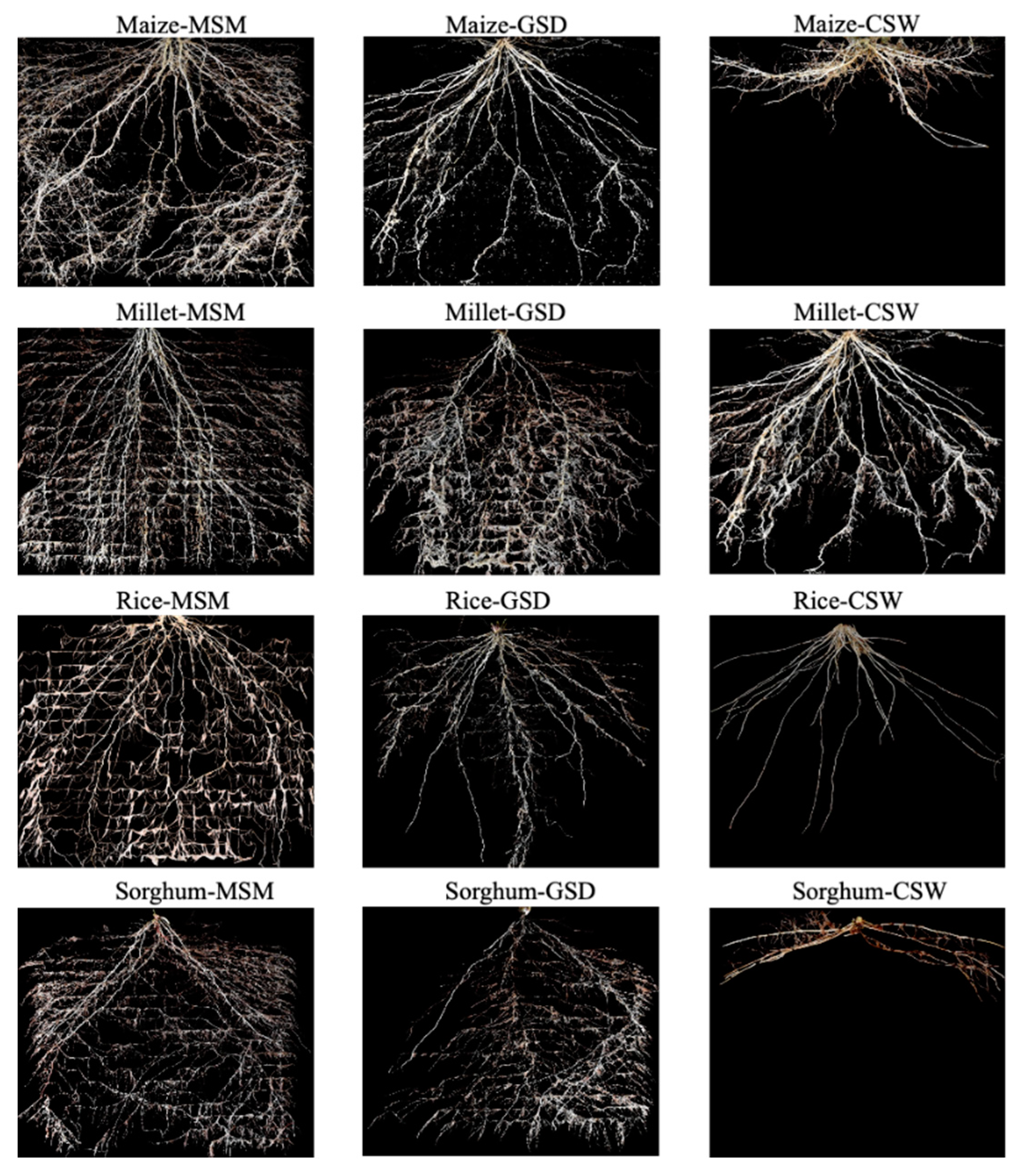 Agronomy 11 00708 g002