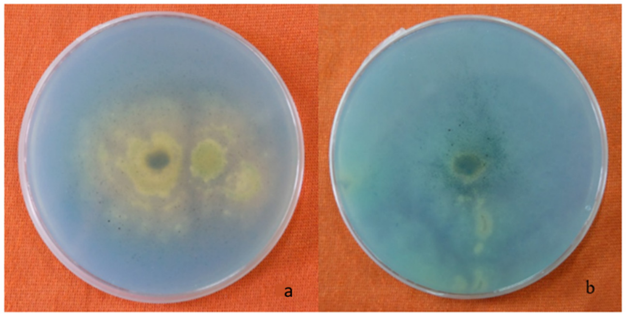 Agronomy 11 00726 g002