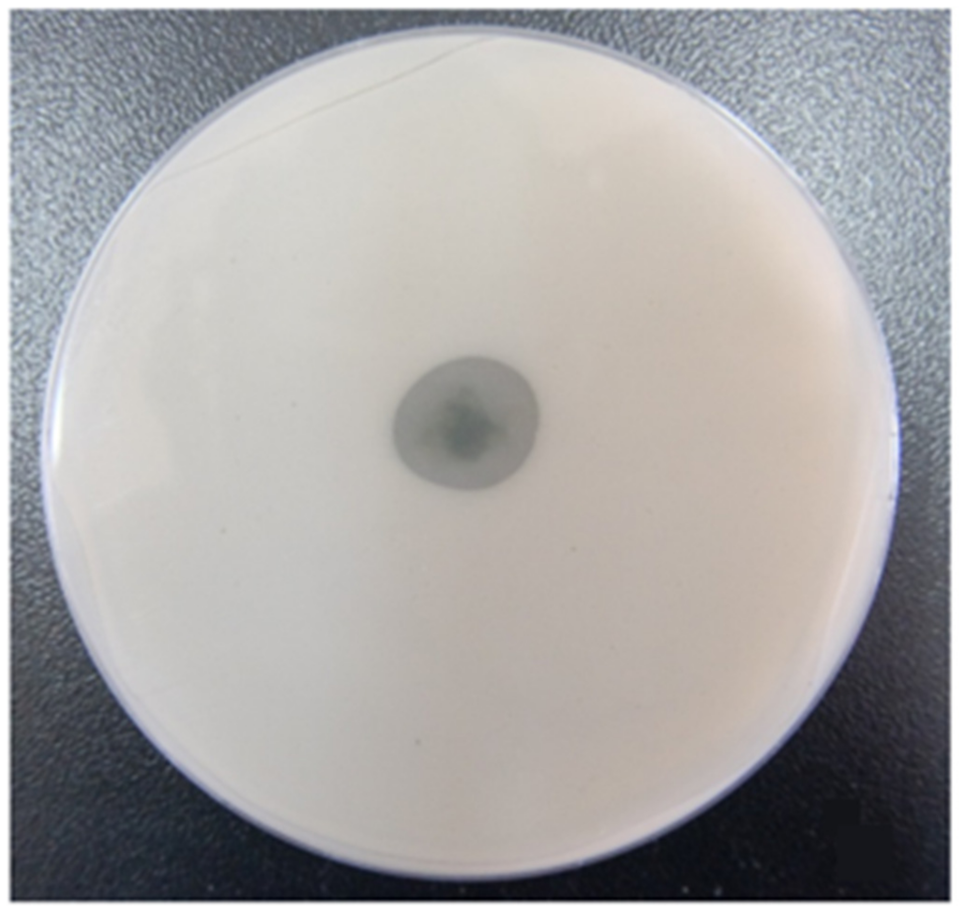 Agronomy 11 00726 g003