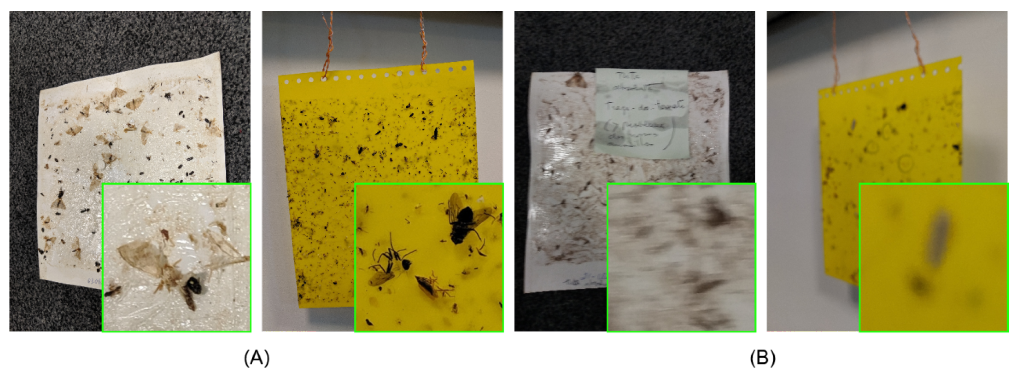 Agronomy 11 00731 g002