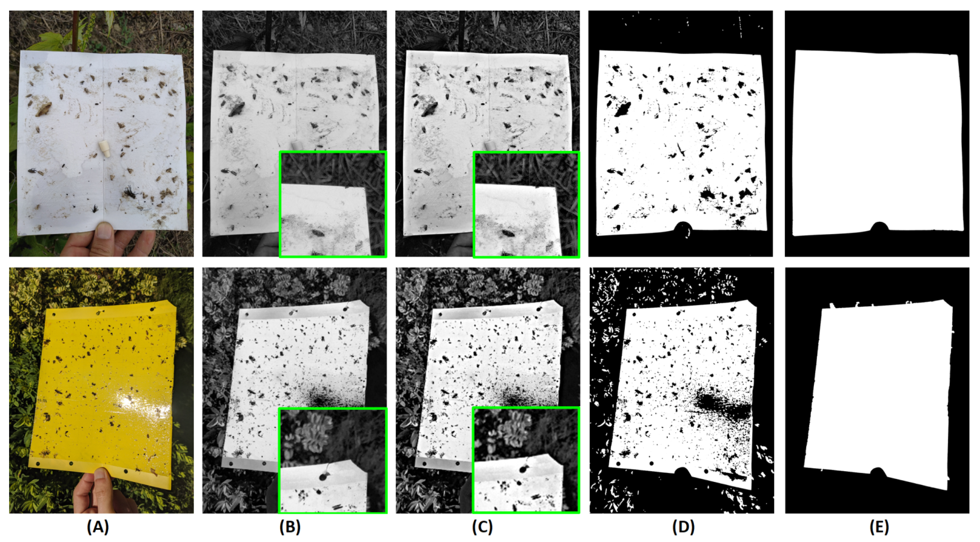 Agronomy 11 00731 g006