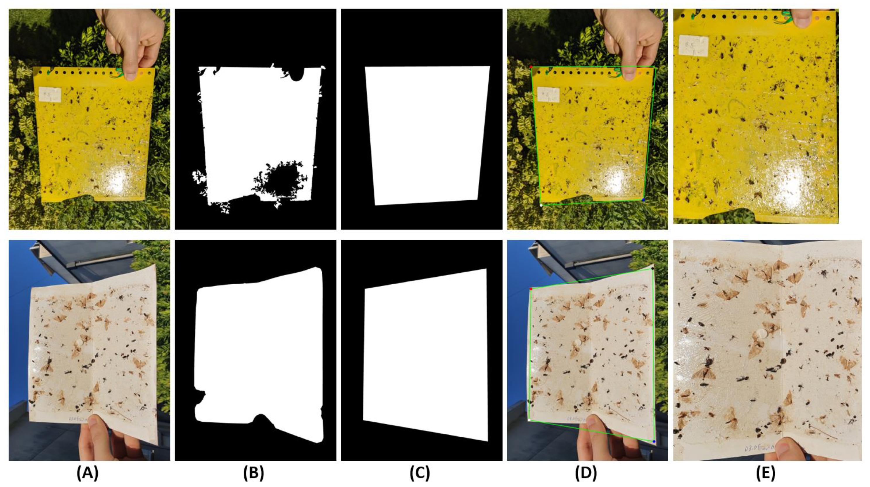 Agronomy 11 00731 g007