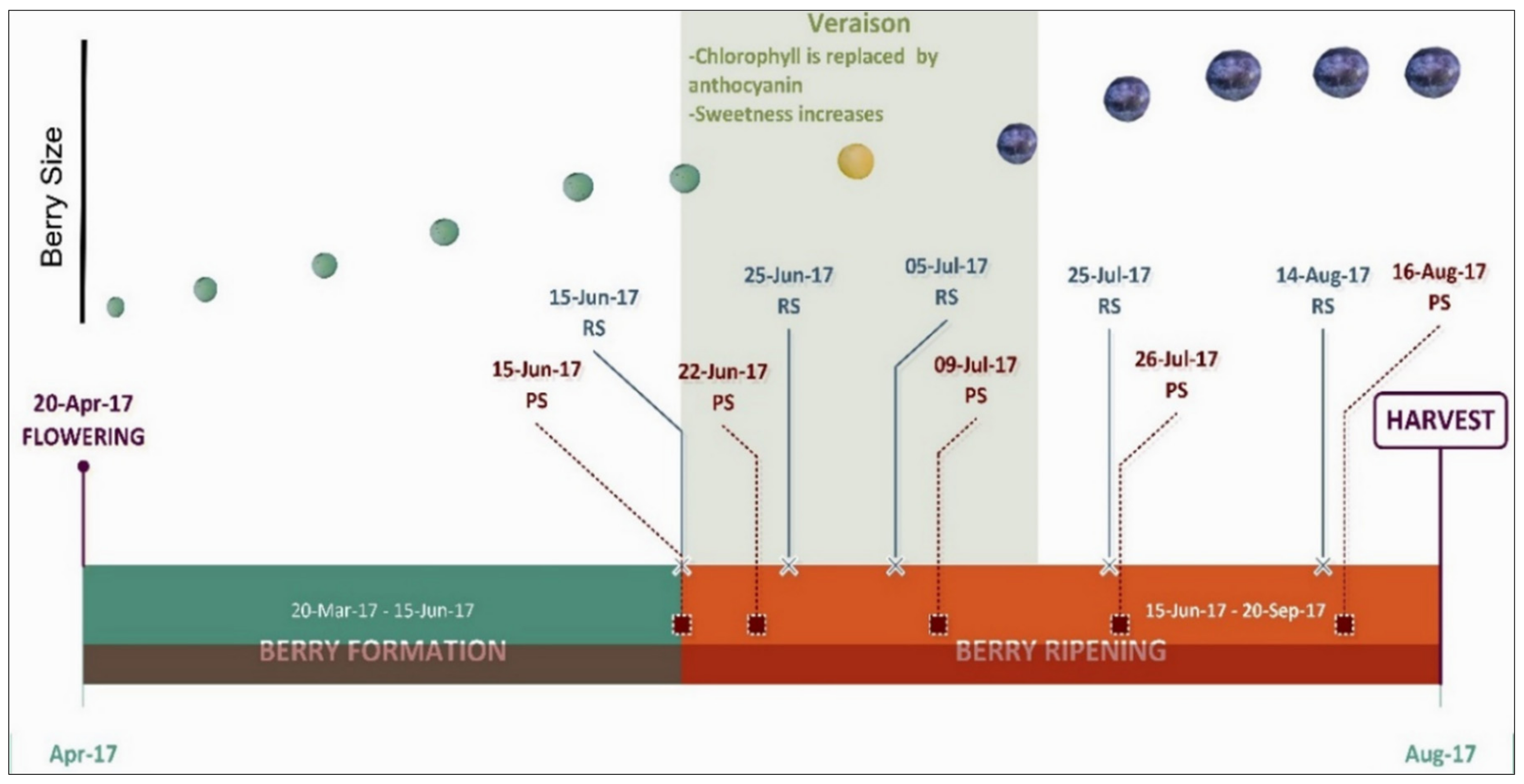 Agronomy 11 00741 g004 Agronomy 11 00741 g004