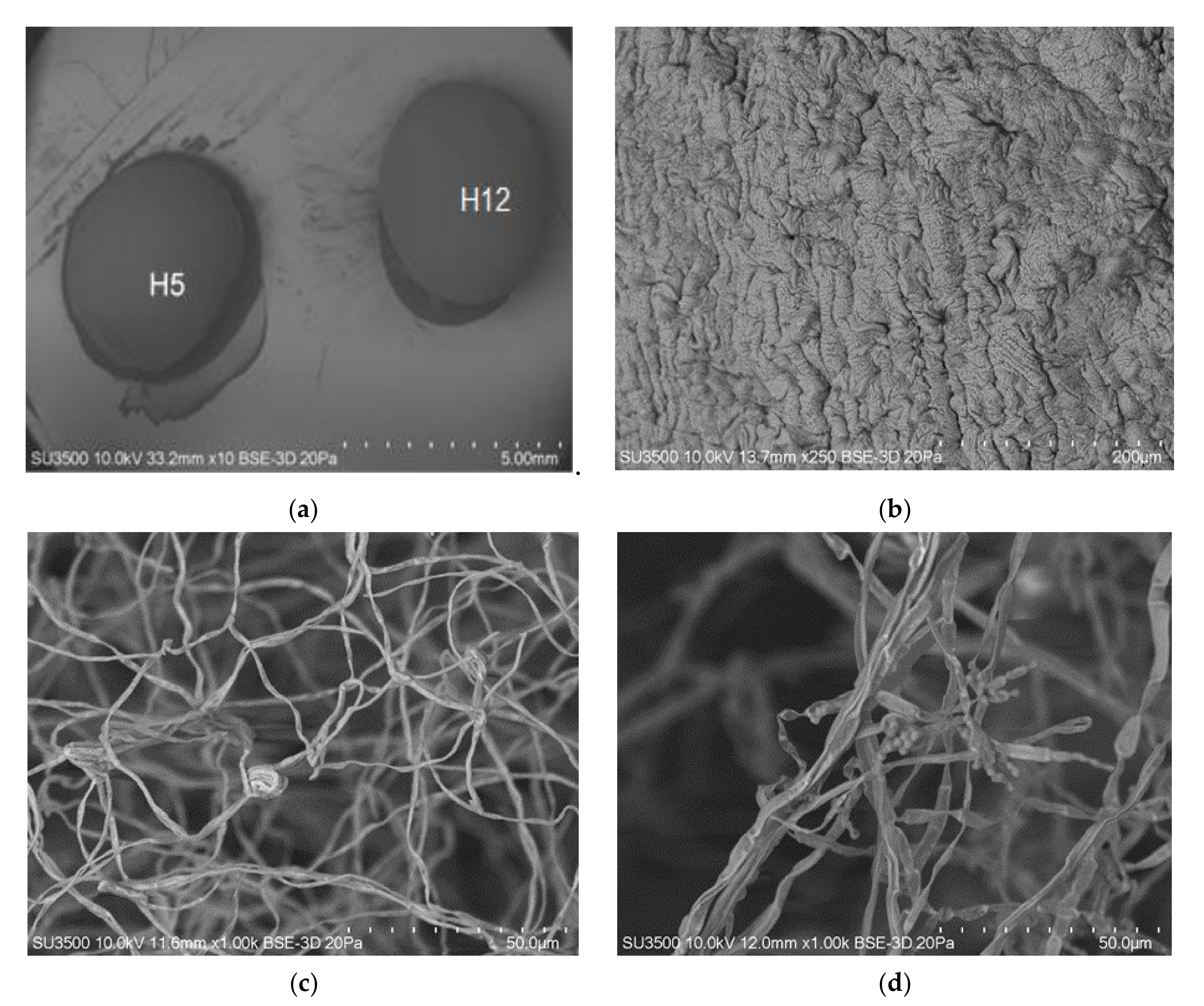 Agronomy 11 00743 g005 Agronomy 11 00743 g005