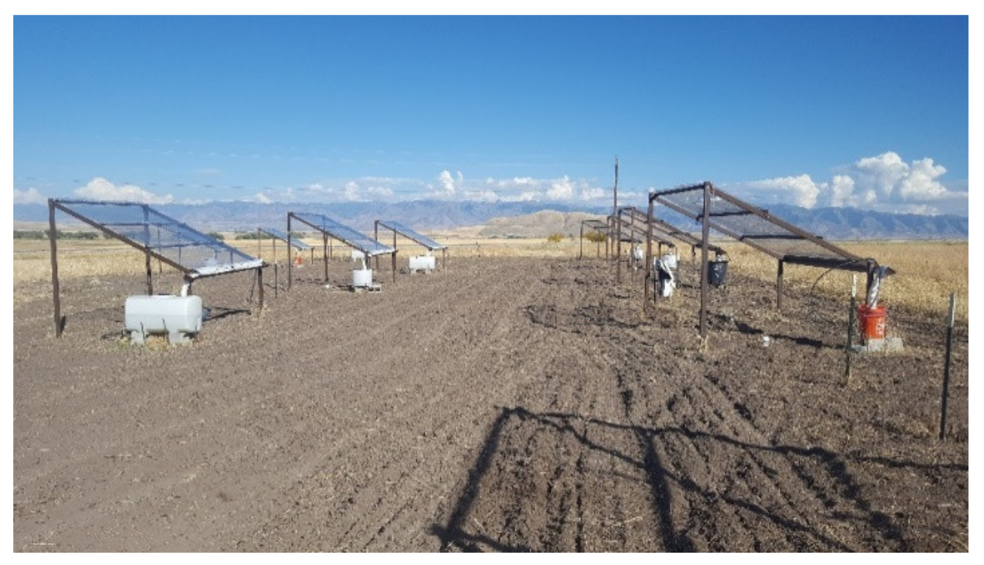 Agronomy 11 00751 g002