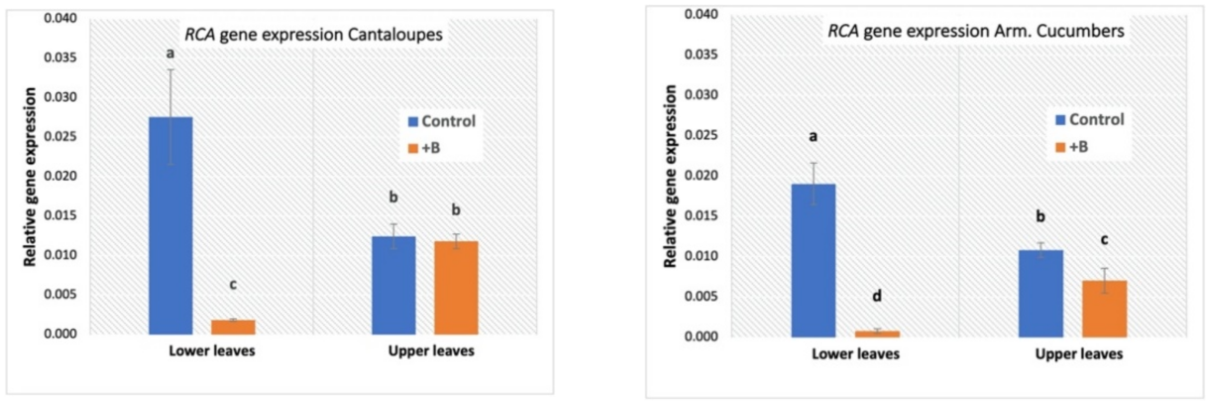 Agronomy 11 00759 g002b Agronomy 11 00759 g002b
