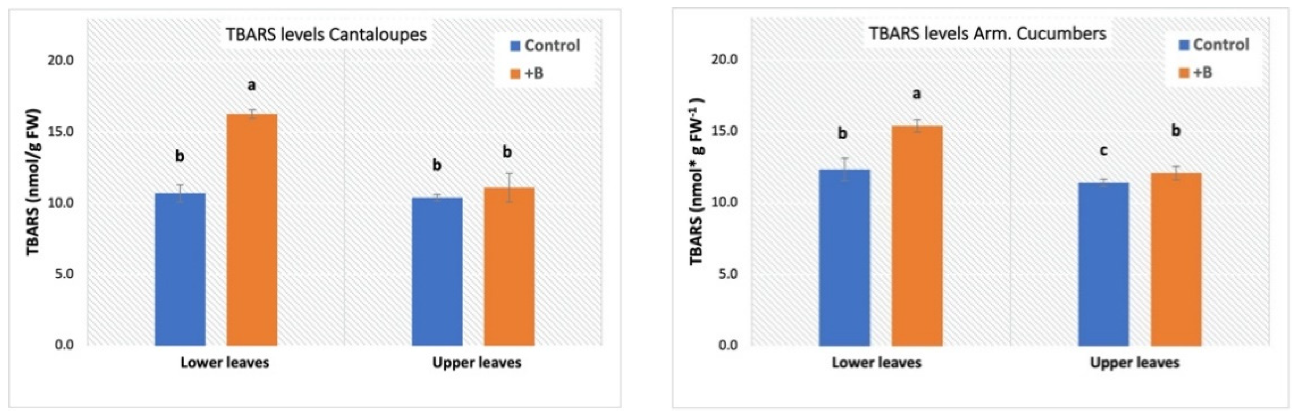 Agronomy 11 00759 g003b Agronomy 11 00759 g003b