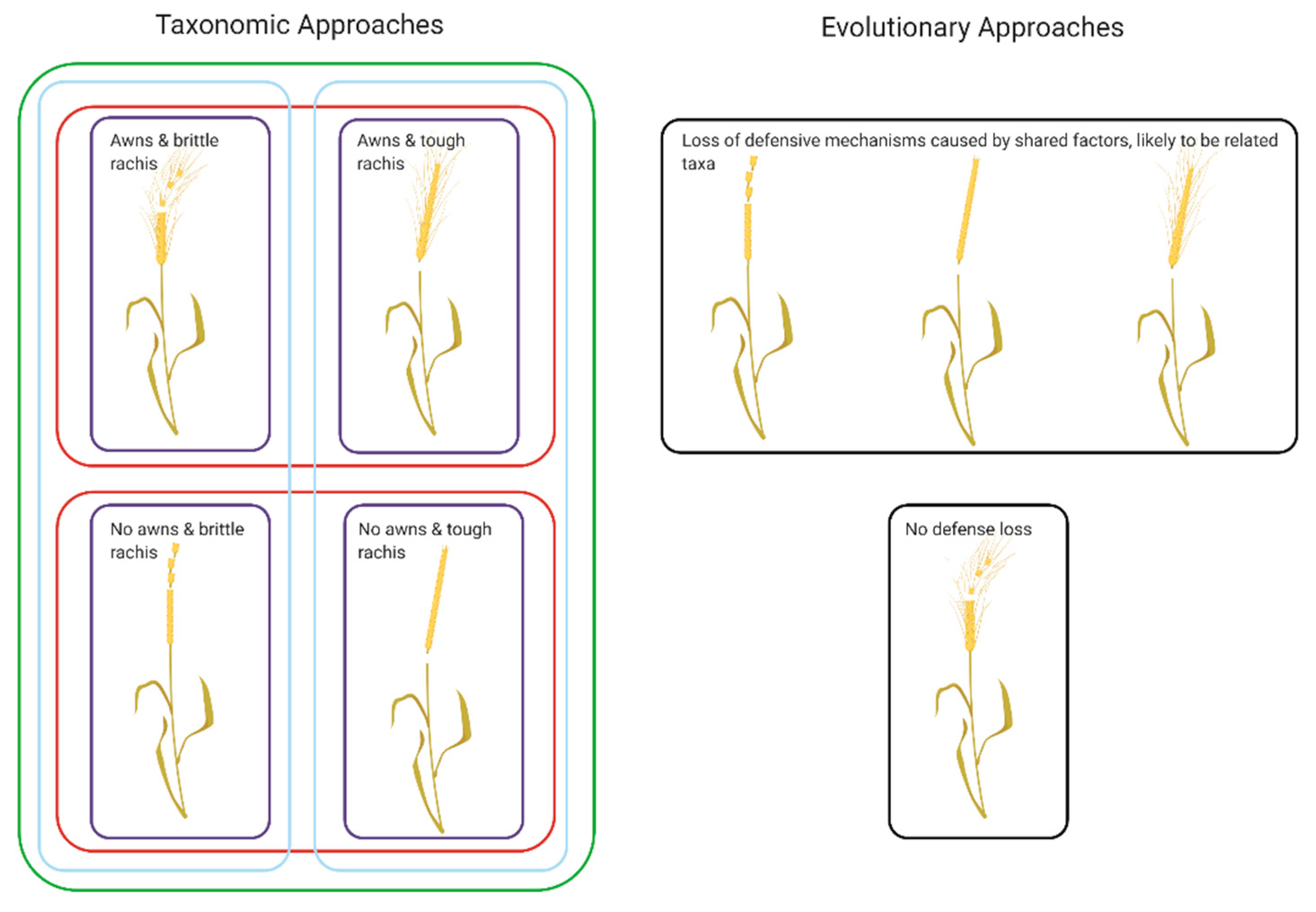 Agronomy 11 00784 g001