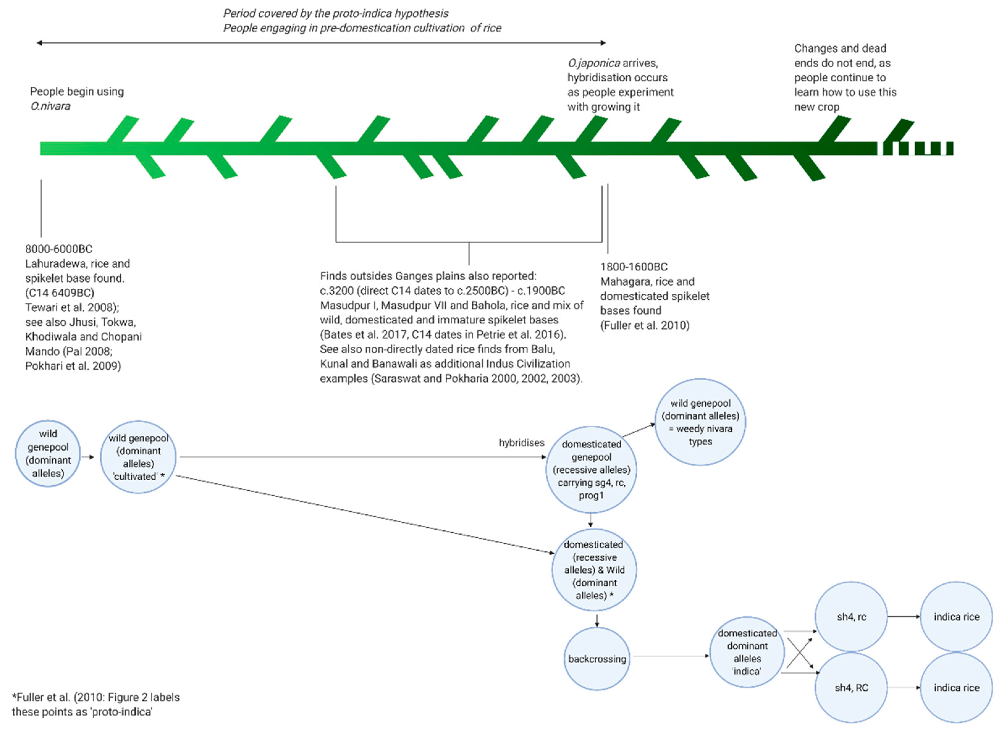 Agronomy 11 00784 g002