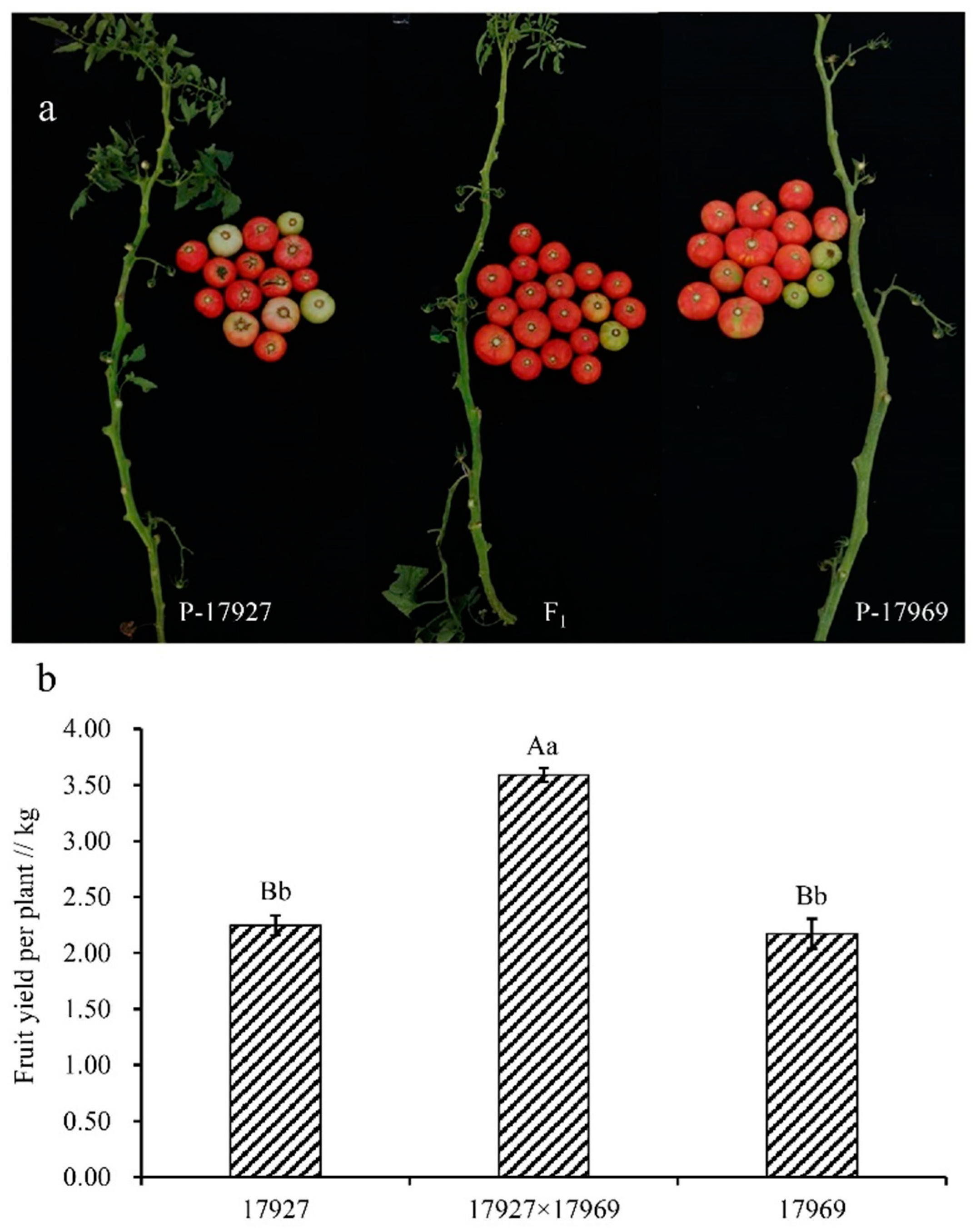 Agronomy 11 00807 g005 Agronomy 11 00807 g005