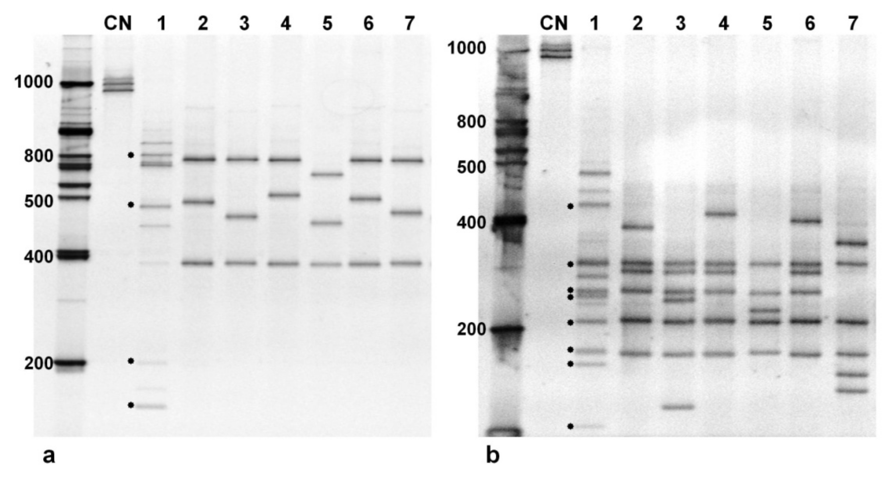 Agronomy 11 00816 g003