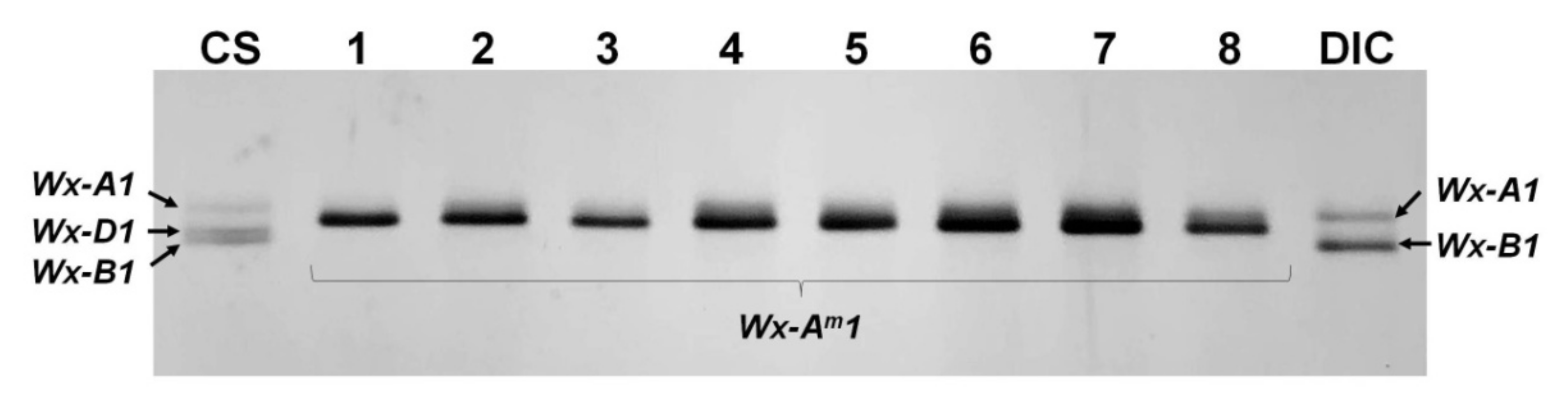 Agronomy 11 00816 g004