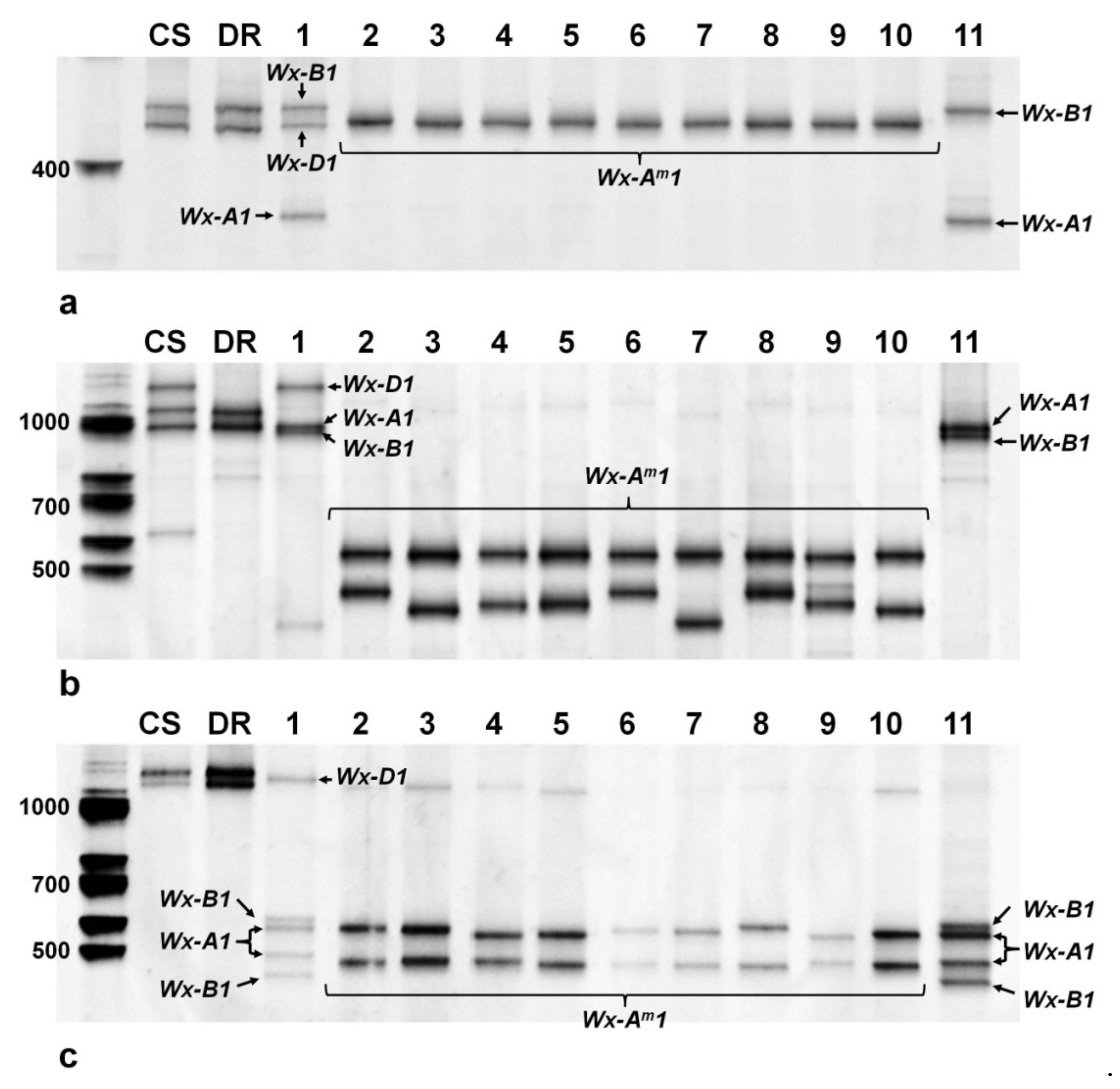 Agronomy 11 00816 g005