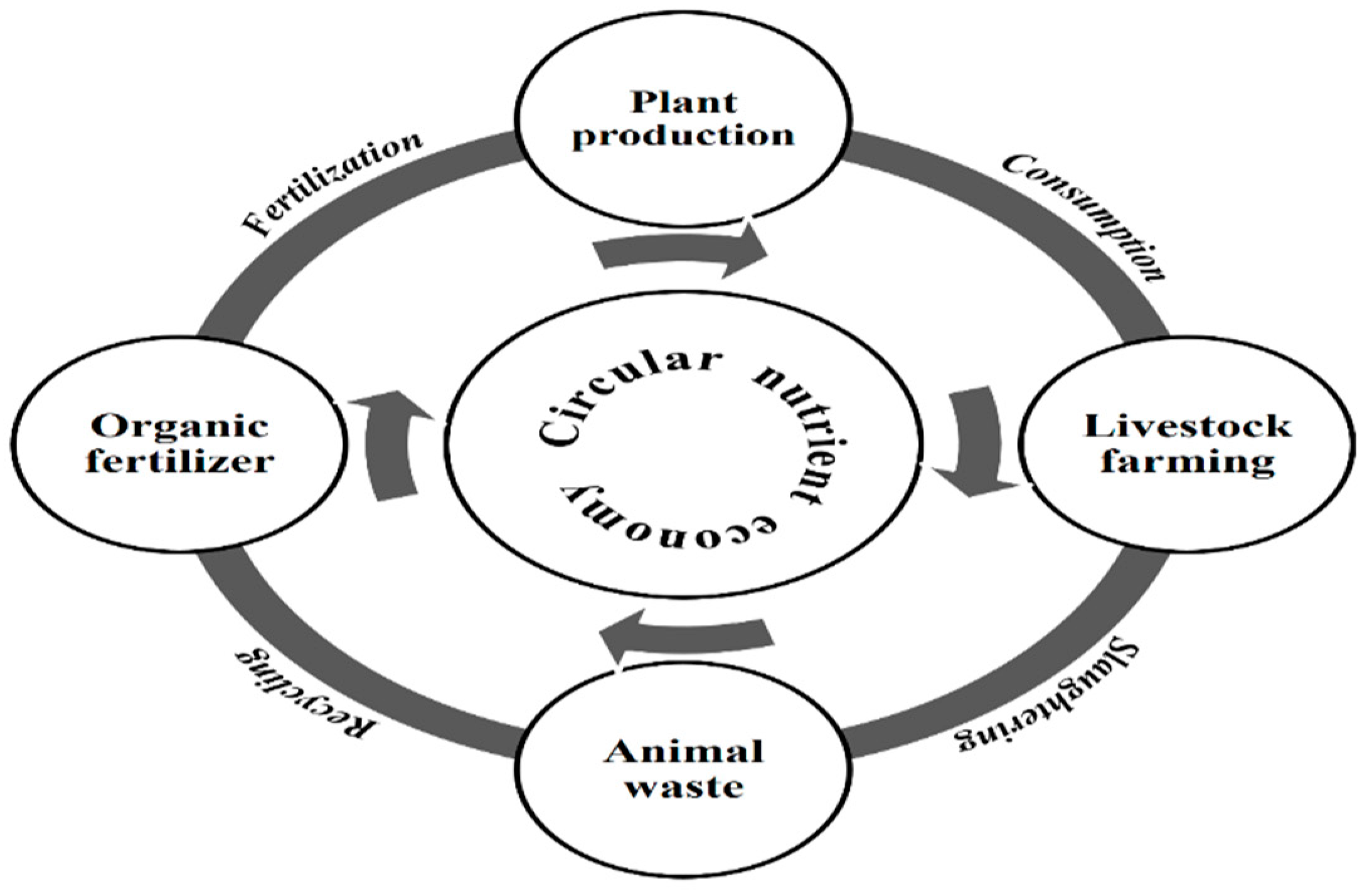 Agronomy 11 00823 g003 Agronomy 11 00823 g003