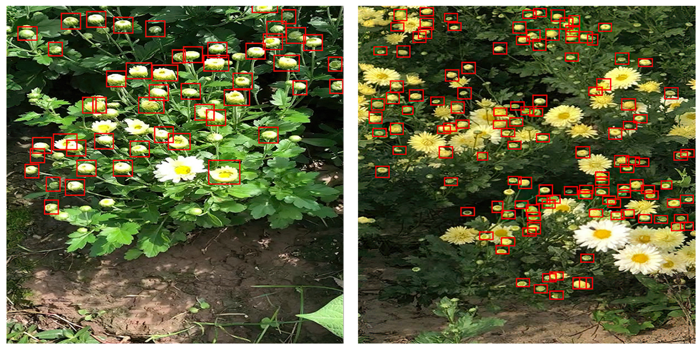 Agronomy 11 00834 g001