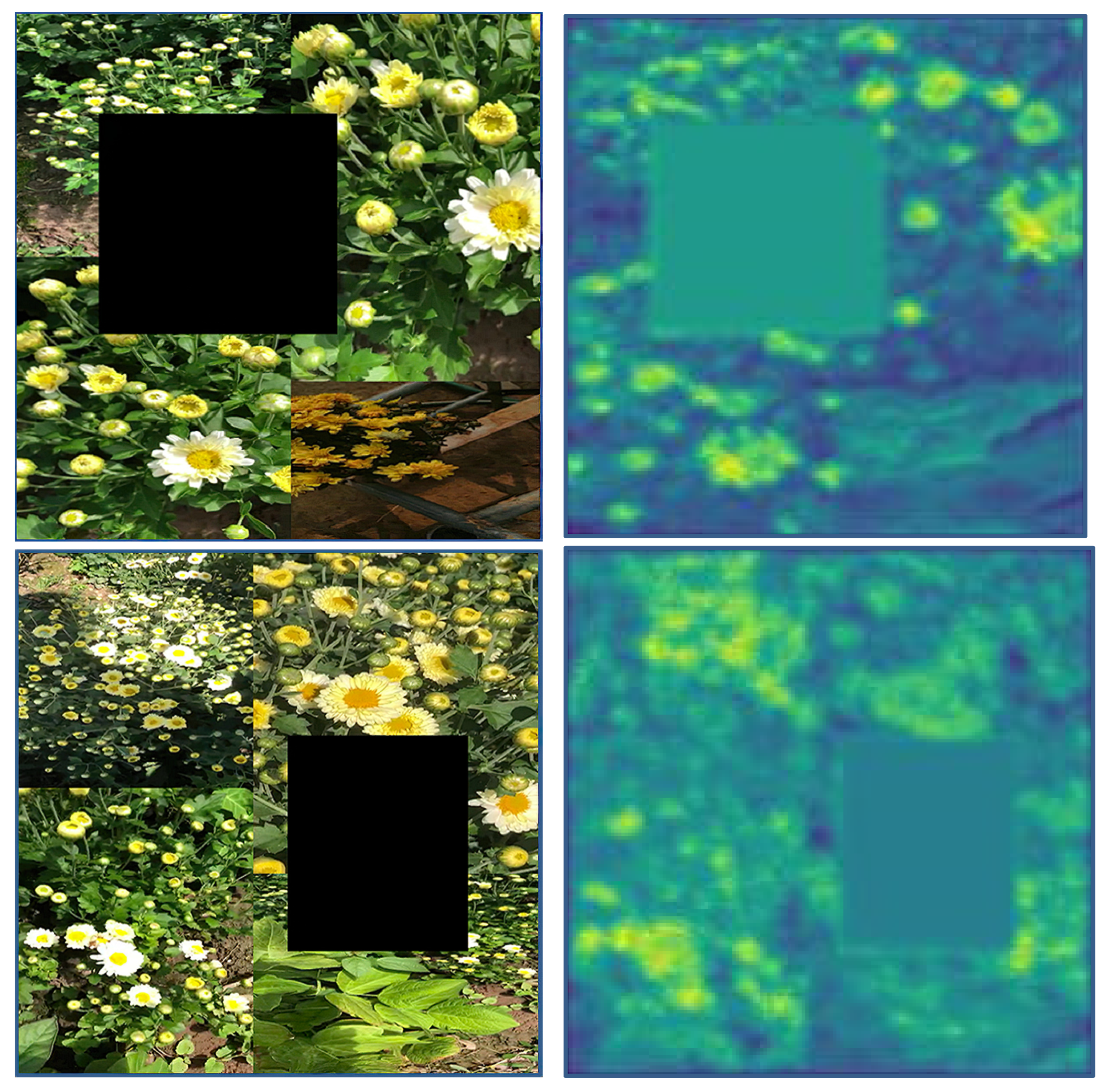 Agronomy 11 00834 g008