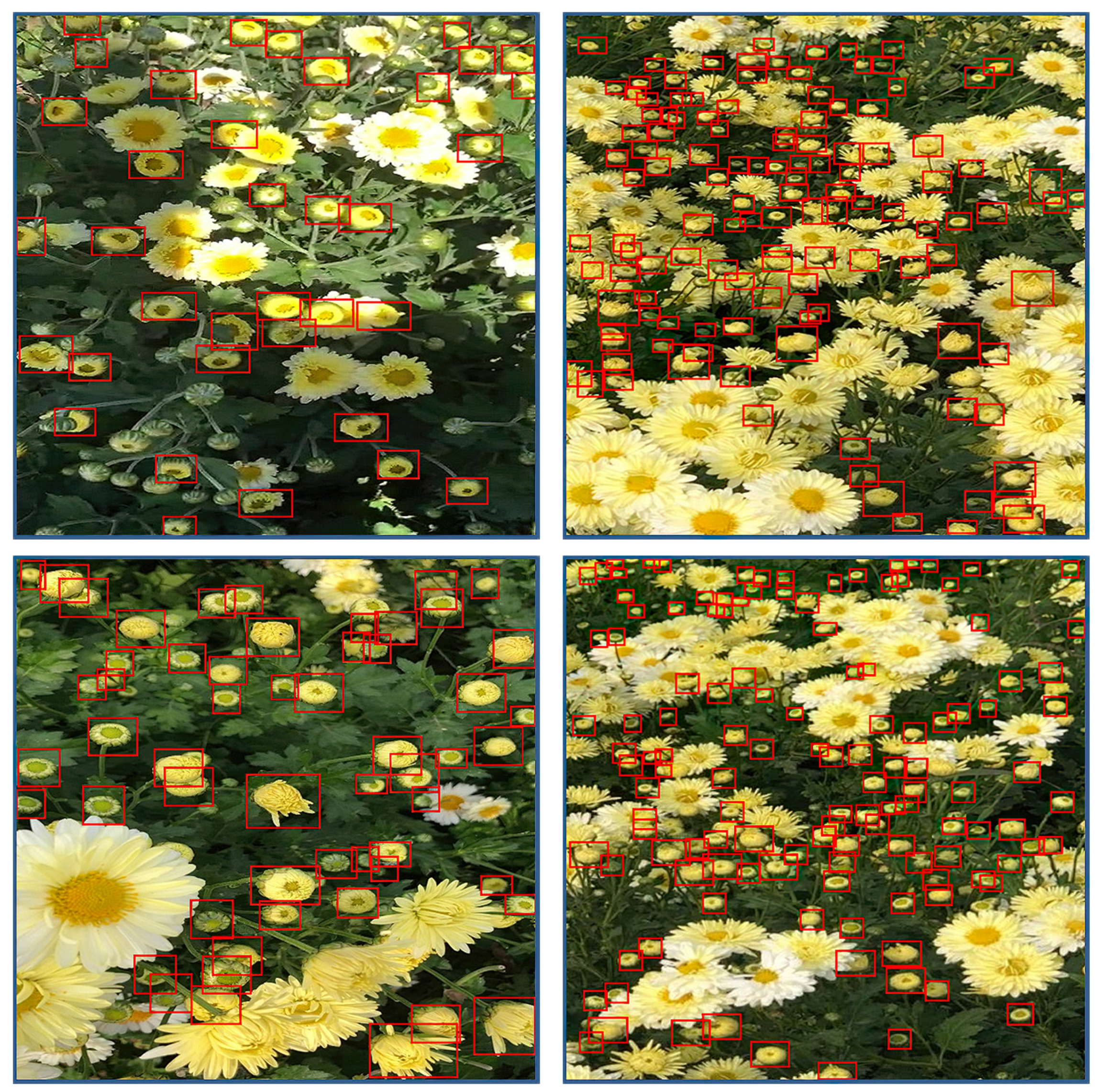 Agronomy 11 00834 g009