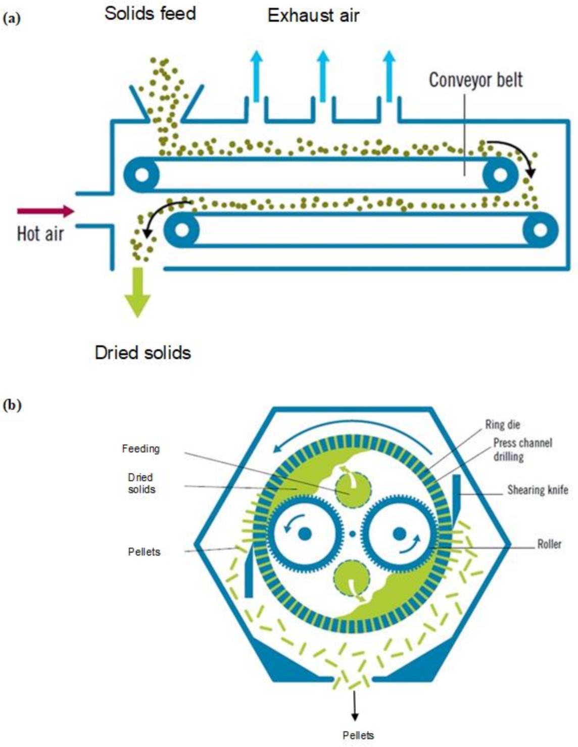 Agronomy 11 00836 g005