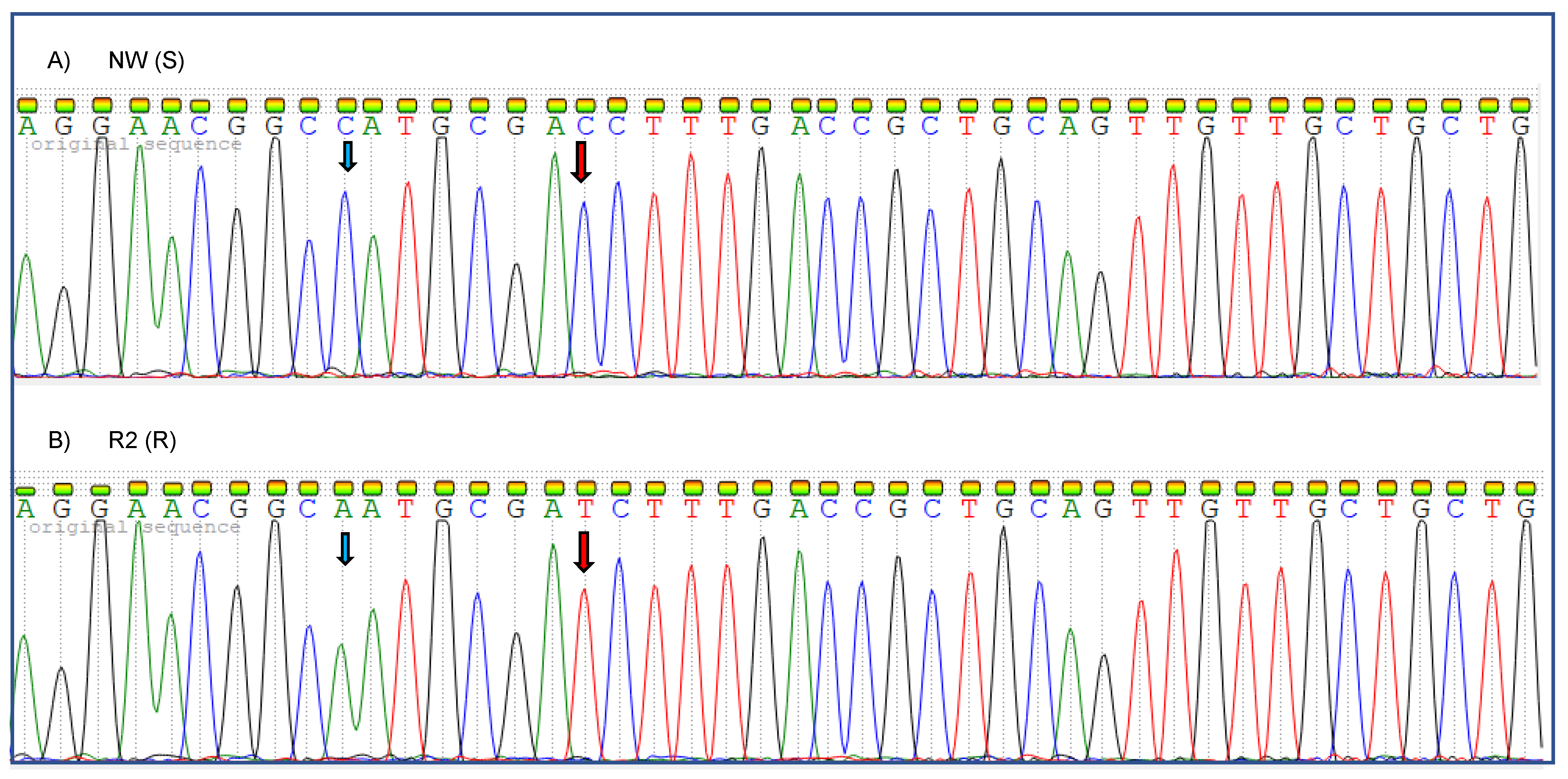 Agronomy 11 00884 g006
