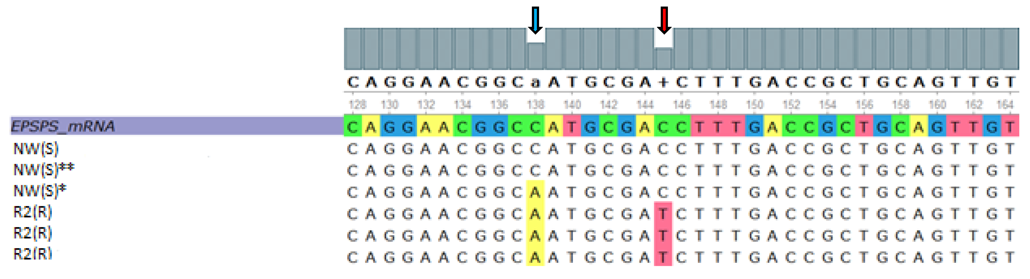 Agronomy 11 00884 g007