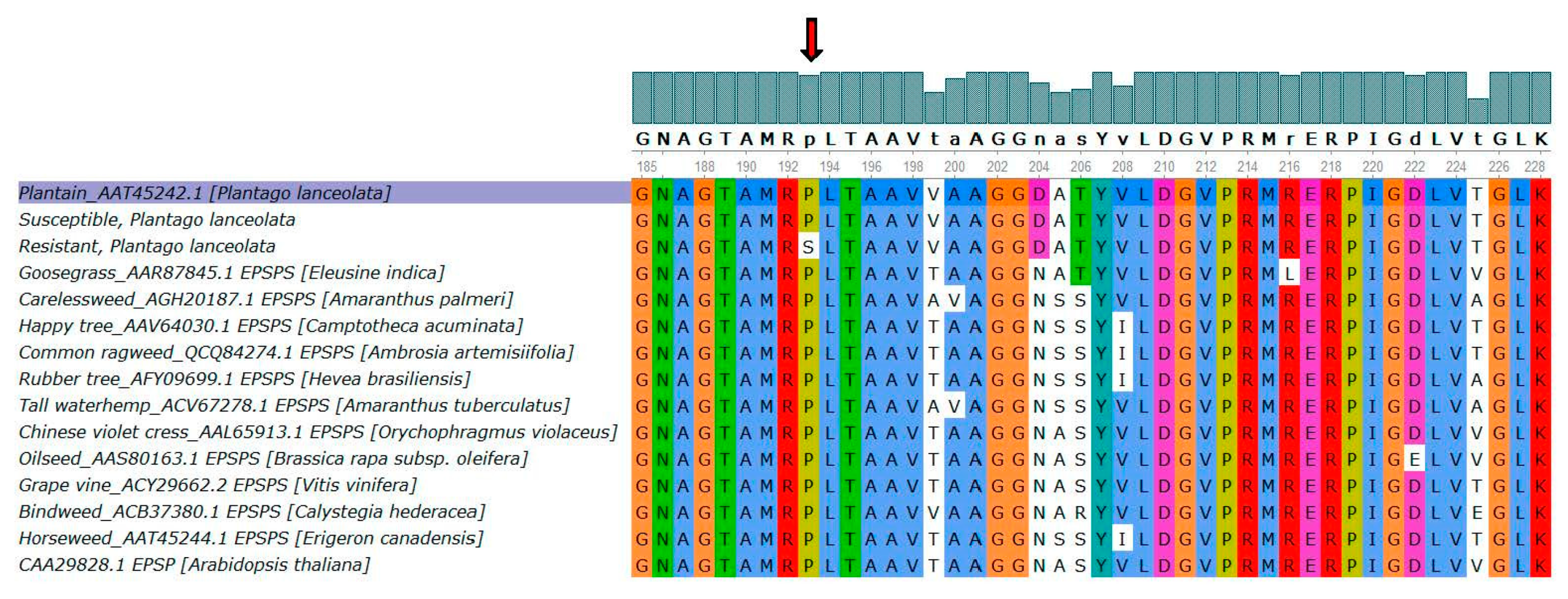 Agronomy 11 00884 g008