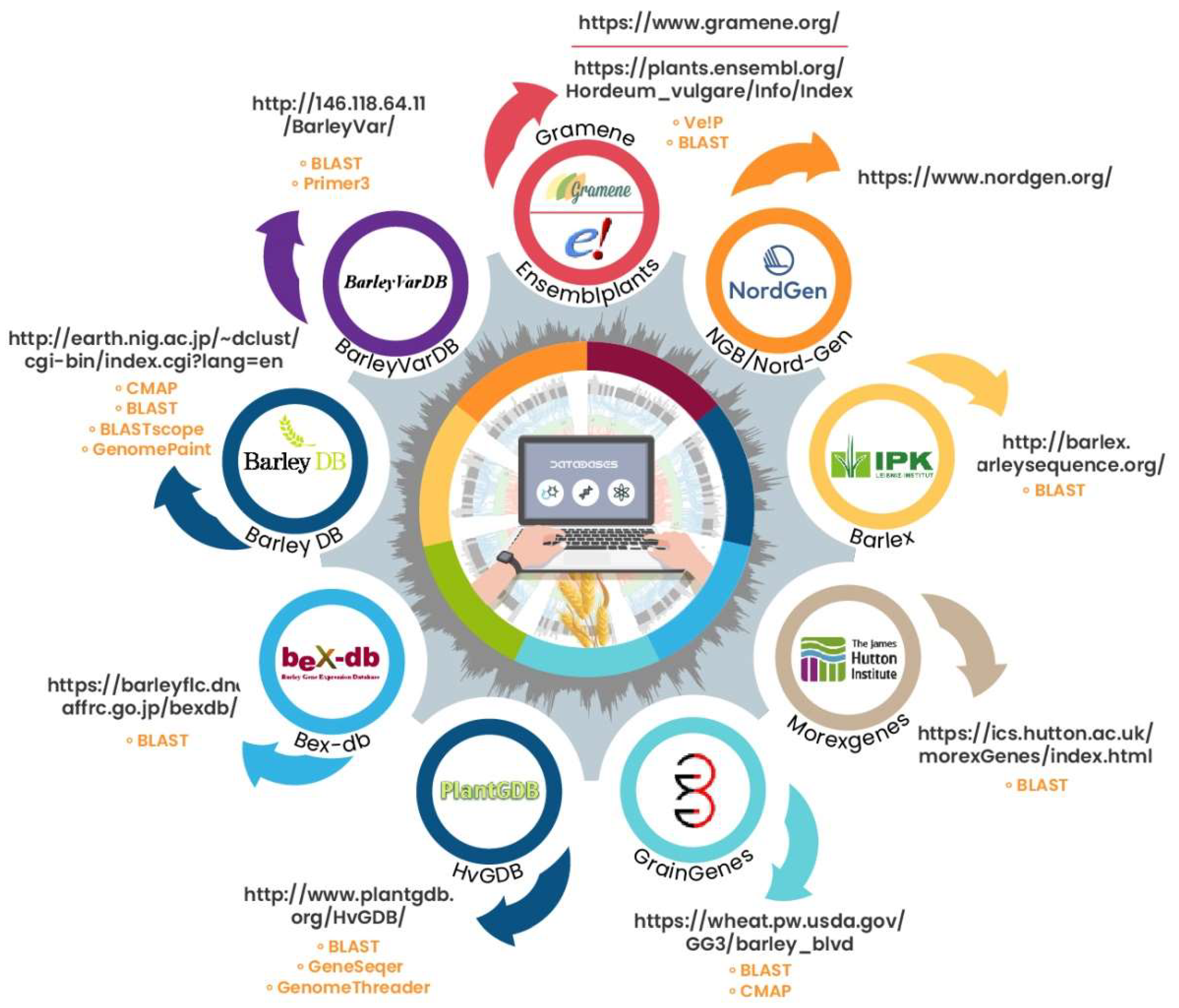 Agronomy 11 00894 g001