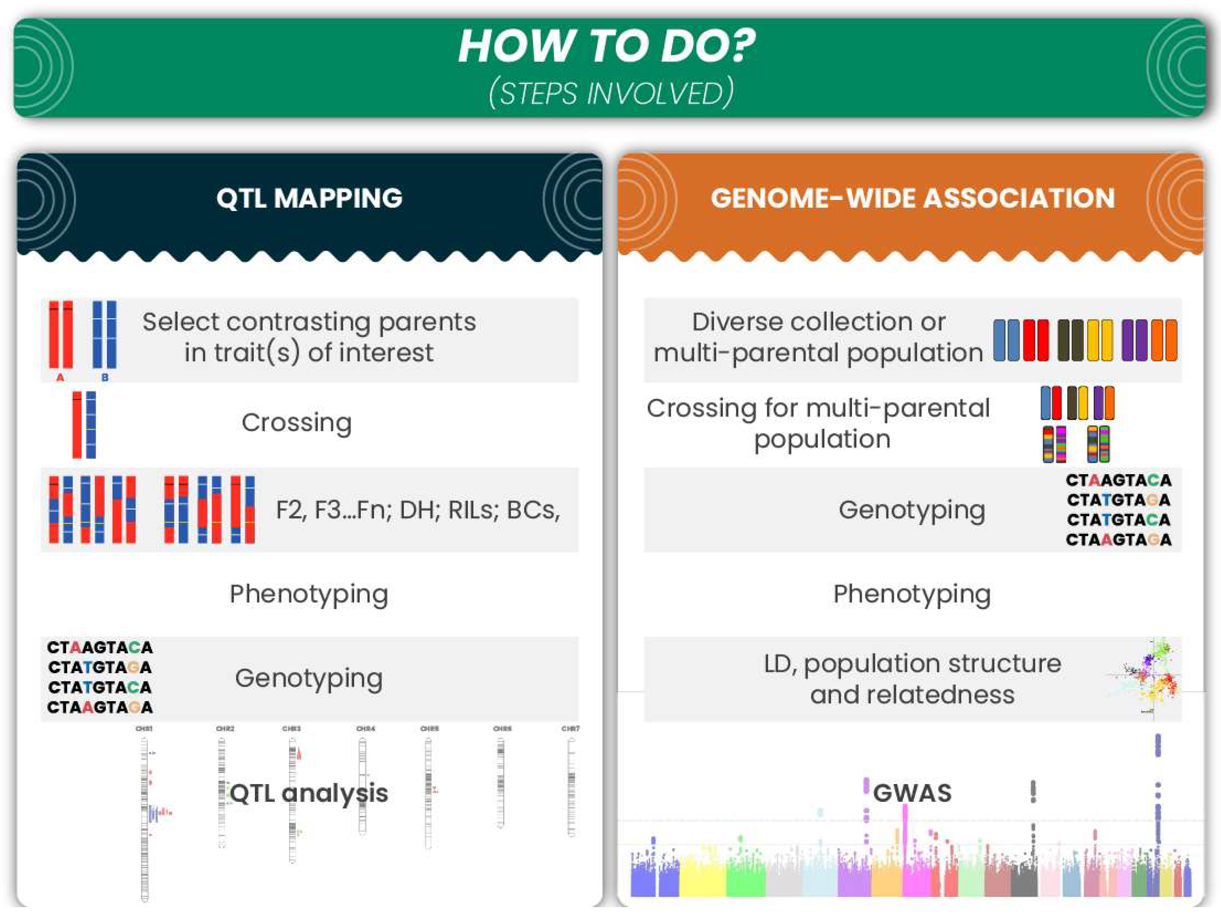 Agronomy 11 00894 g002