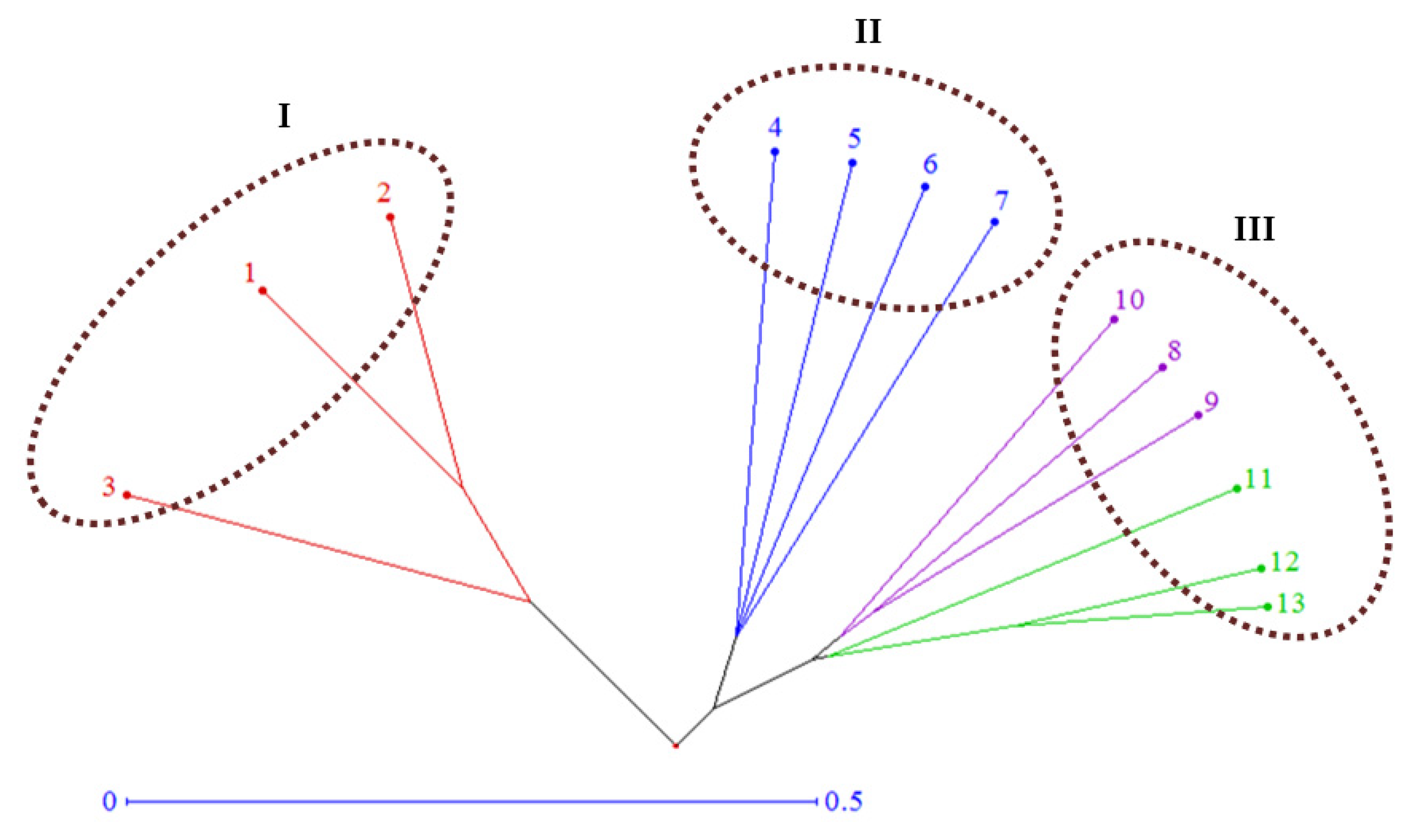Agronomy 11 00898 g005