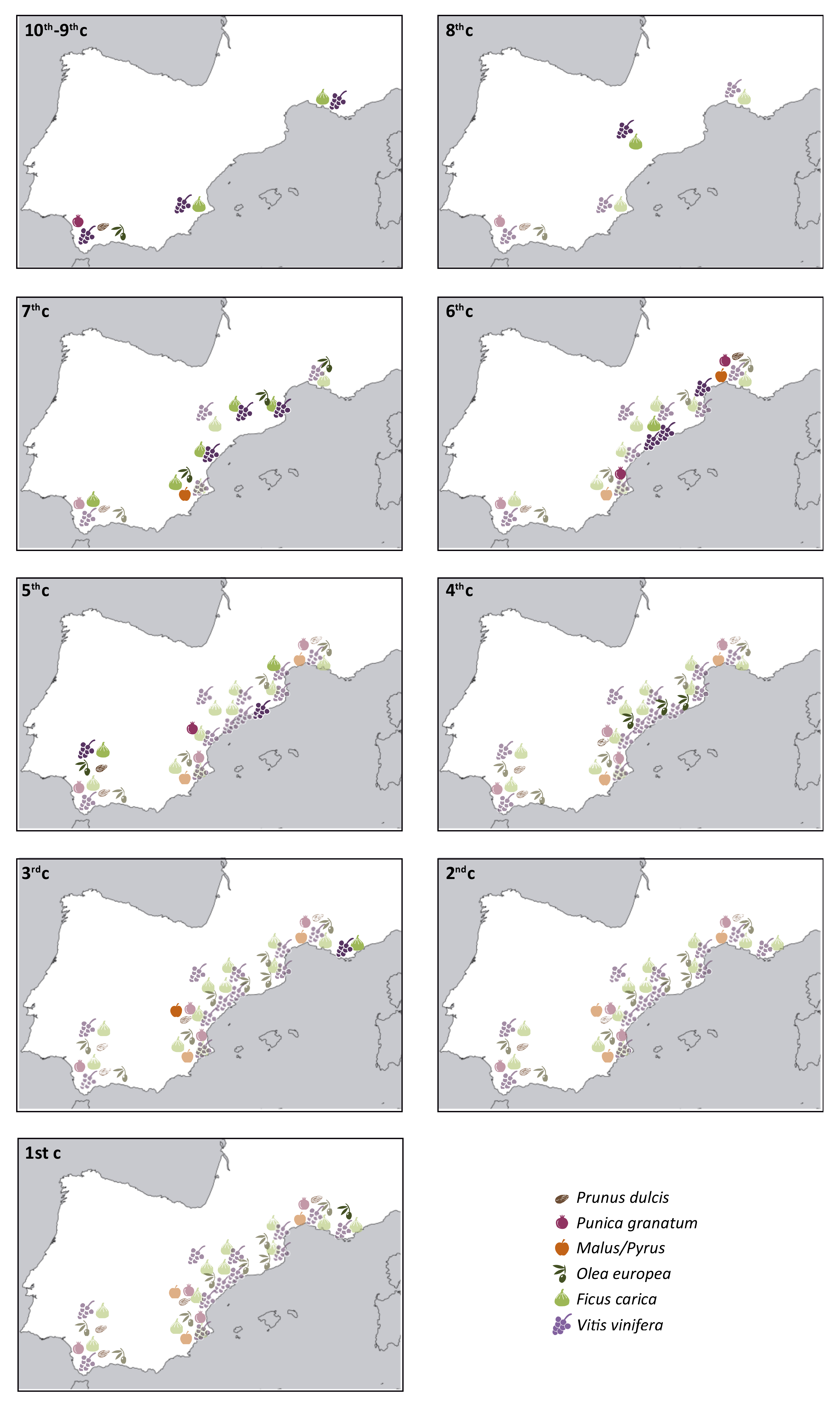 Agronomy 11 00902 g006