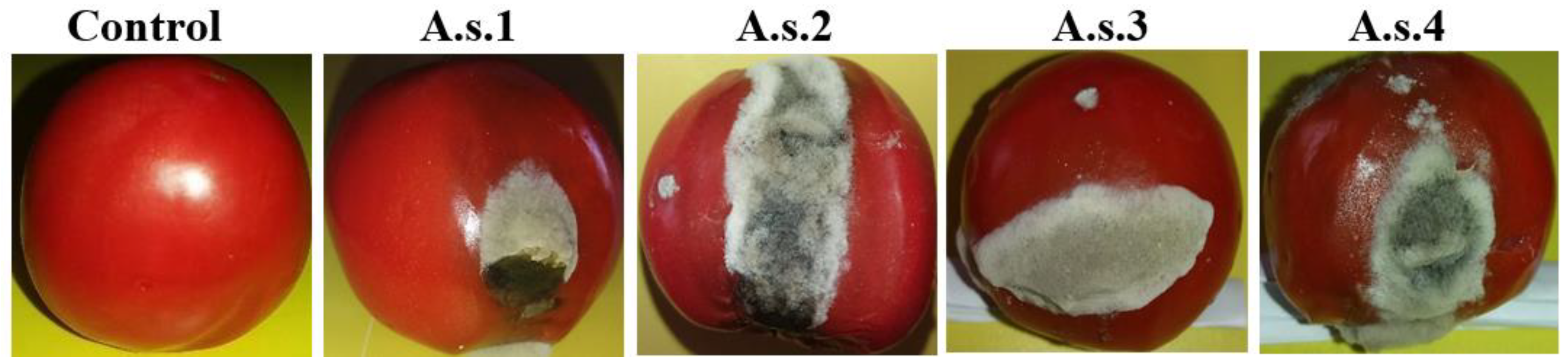 Agronomy 11 00911 g001