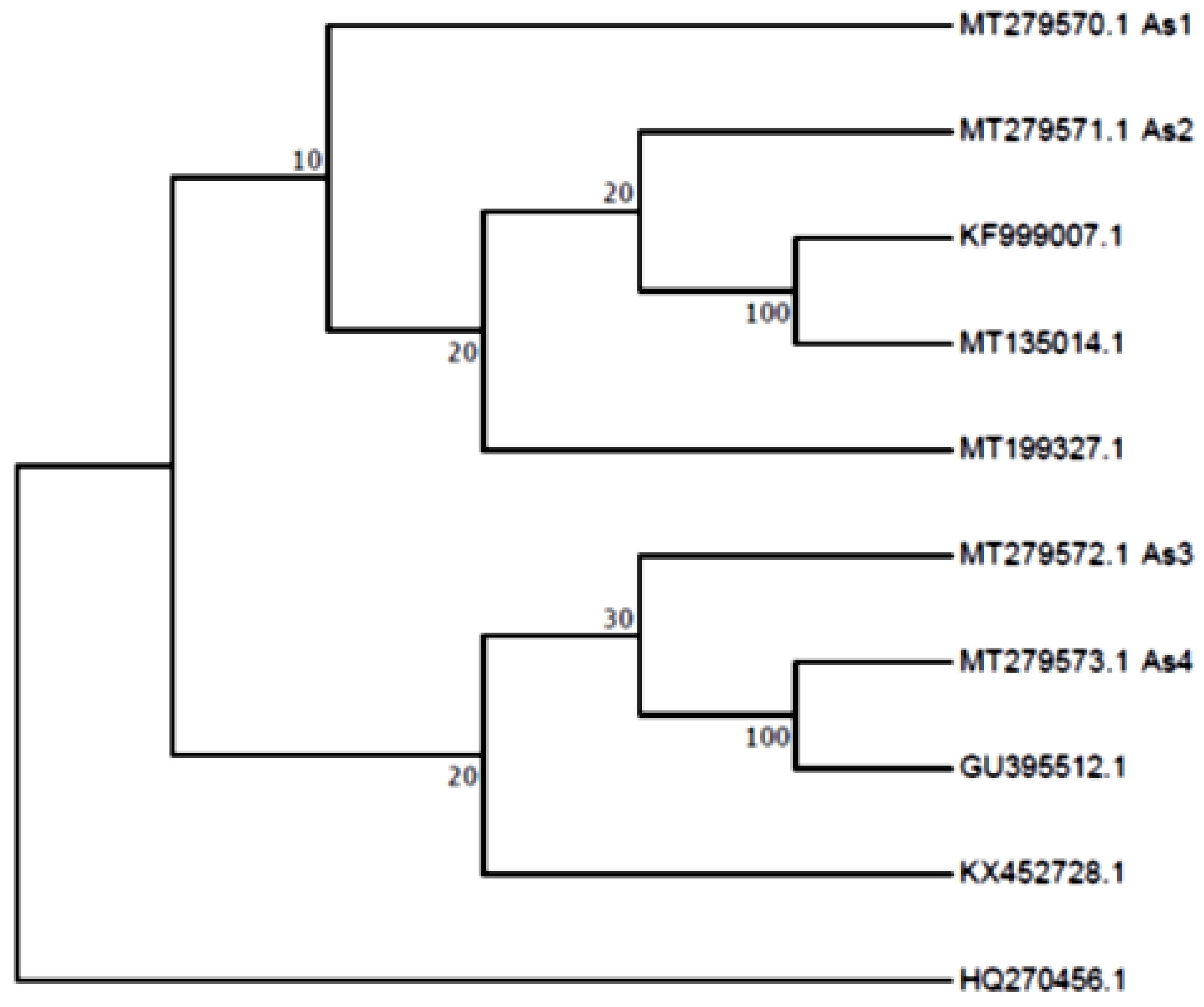 Agronomy 11 00911 g004