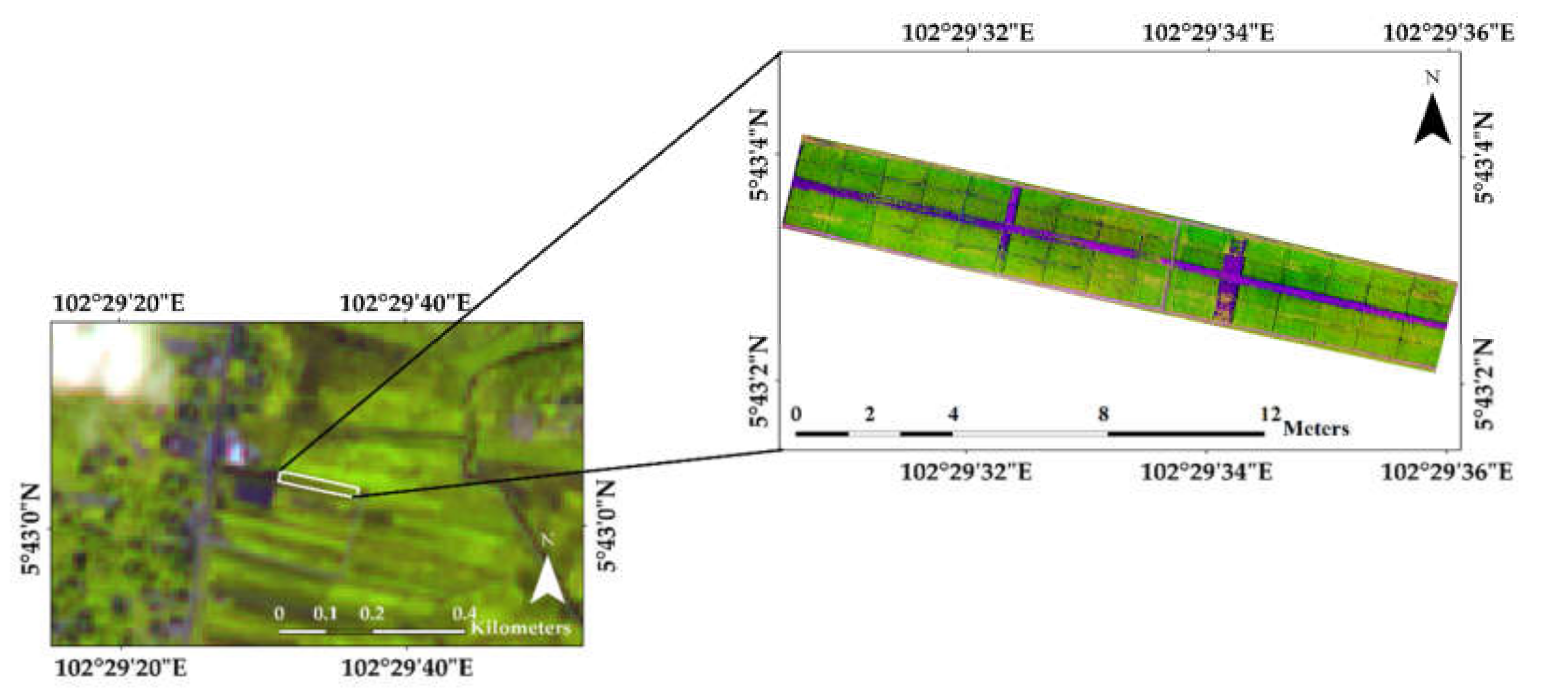 Agronomy 11 00915 g001