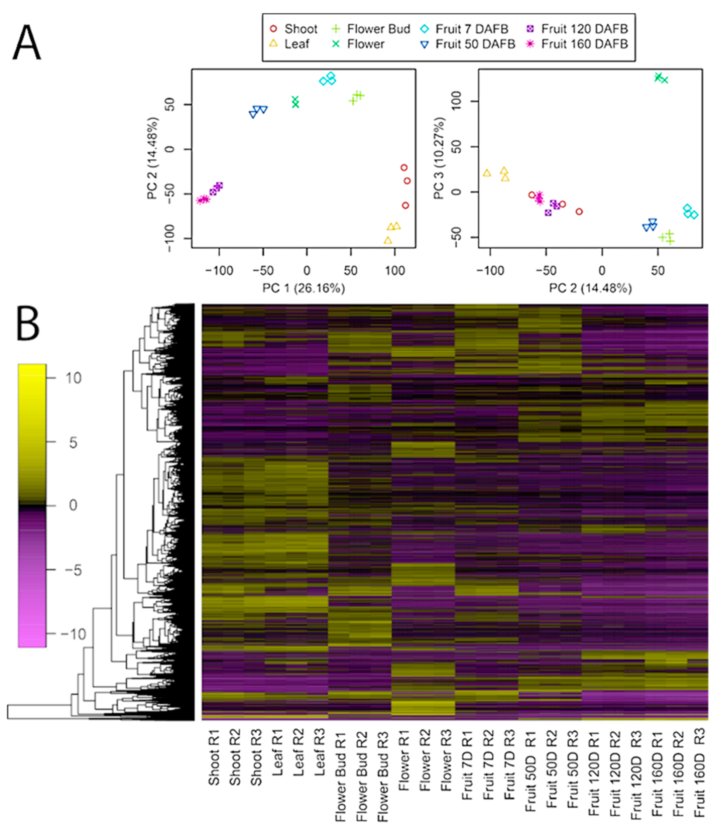 Agronomy 11 00919 g002