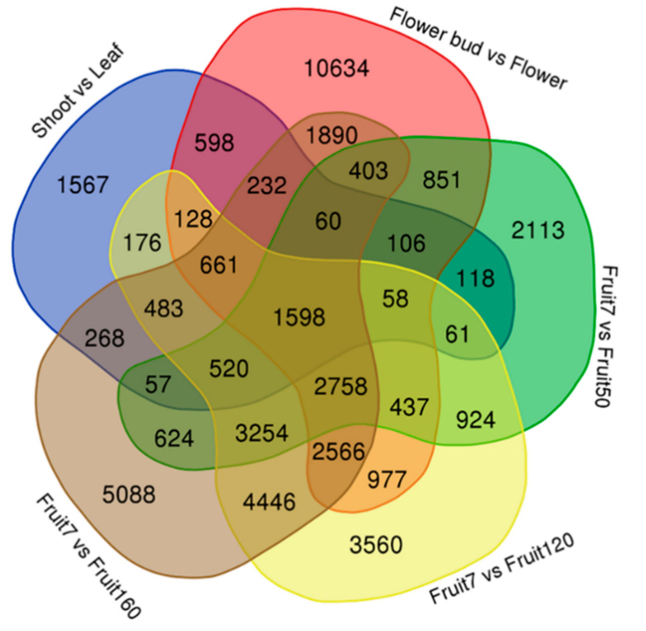 Agronomy 11 00919 g004