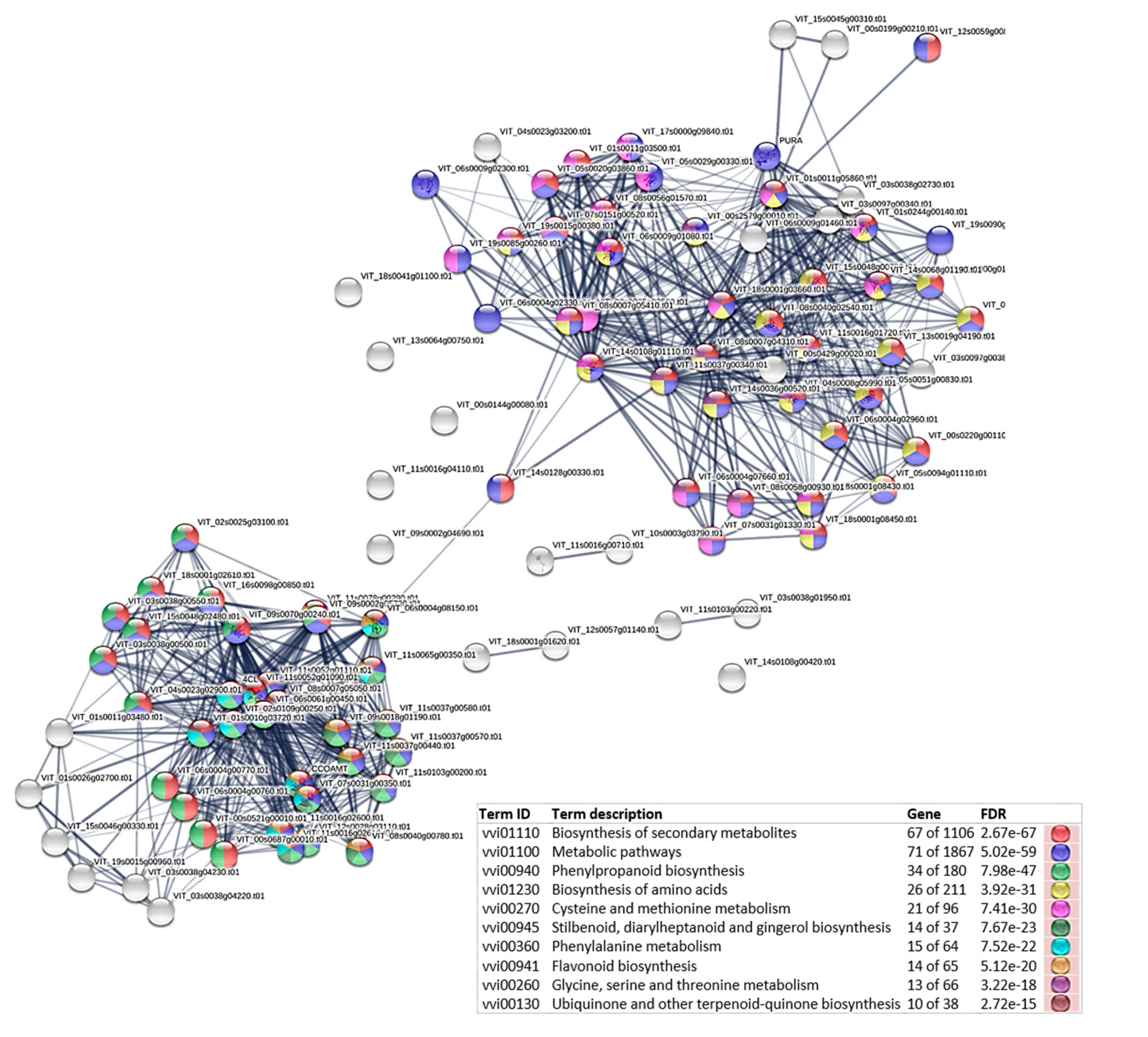 Agronomy 11 00919 g008