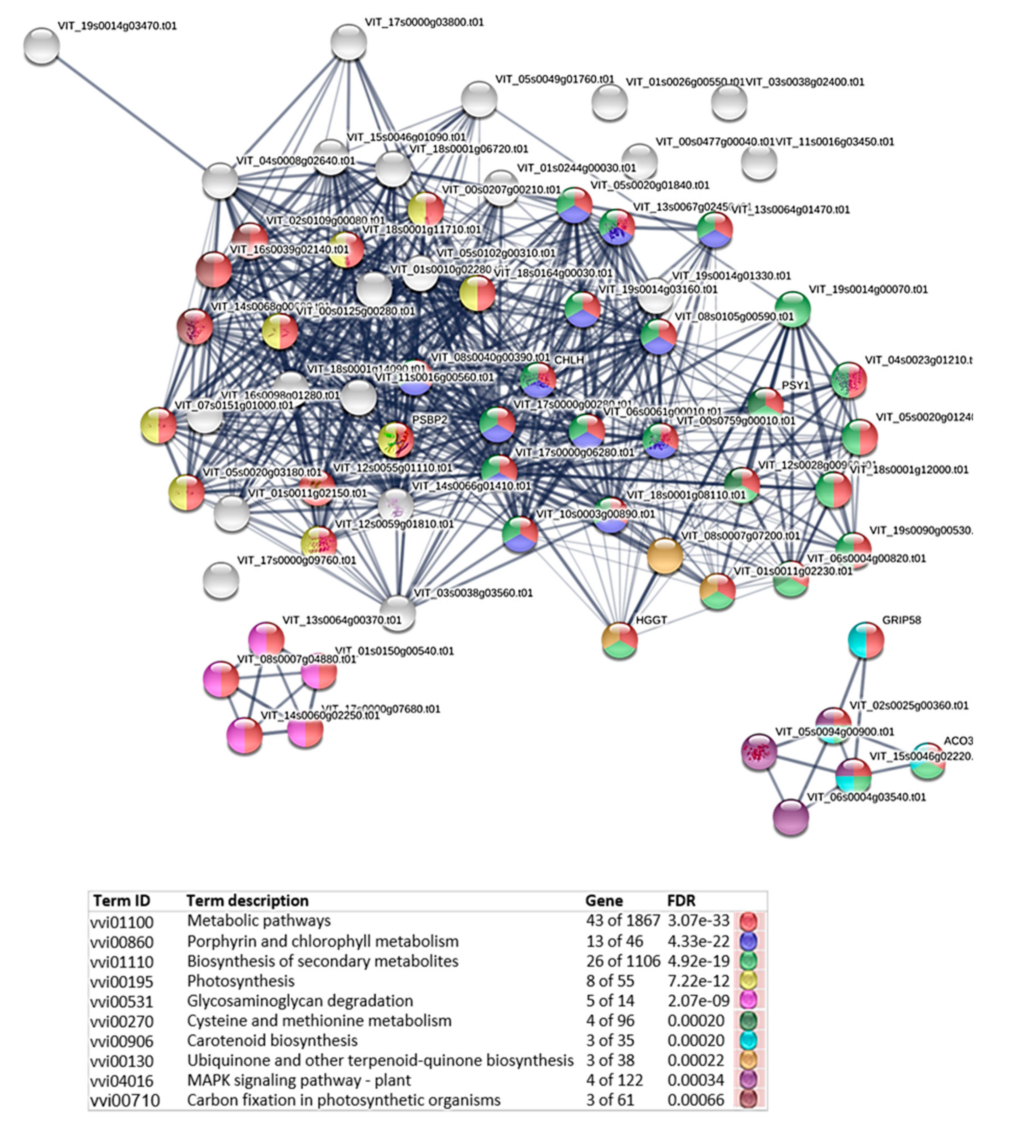 Agronomy 11 00919 g009