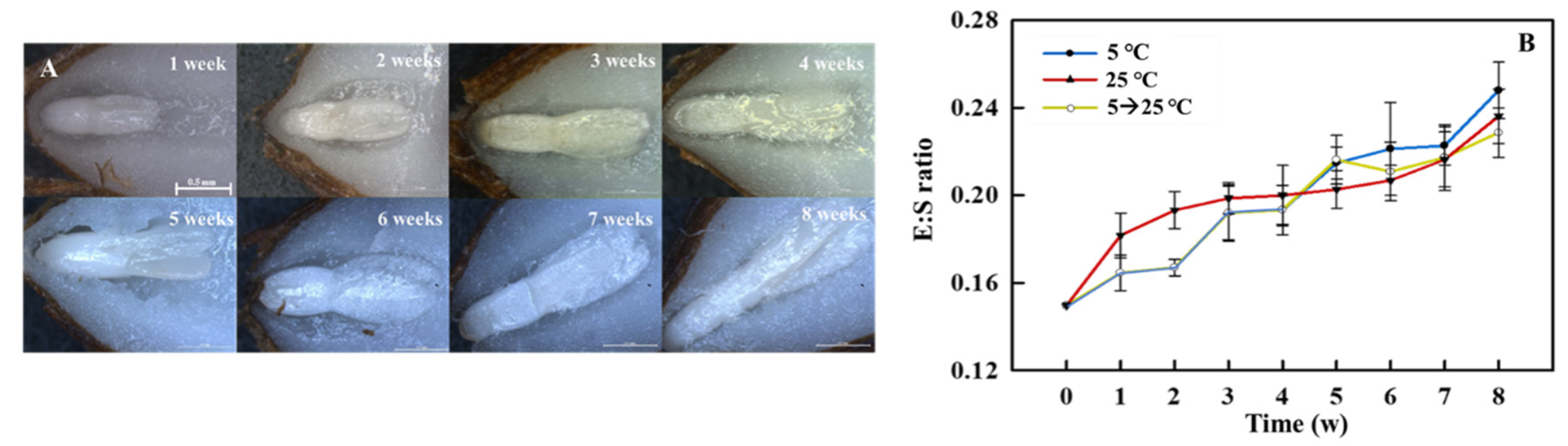 Agronomy 11 00944 g003