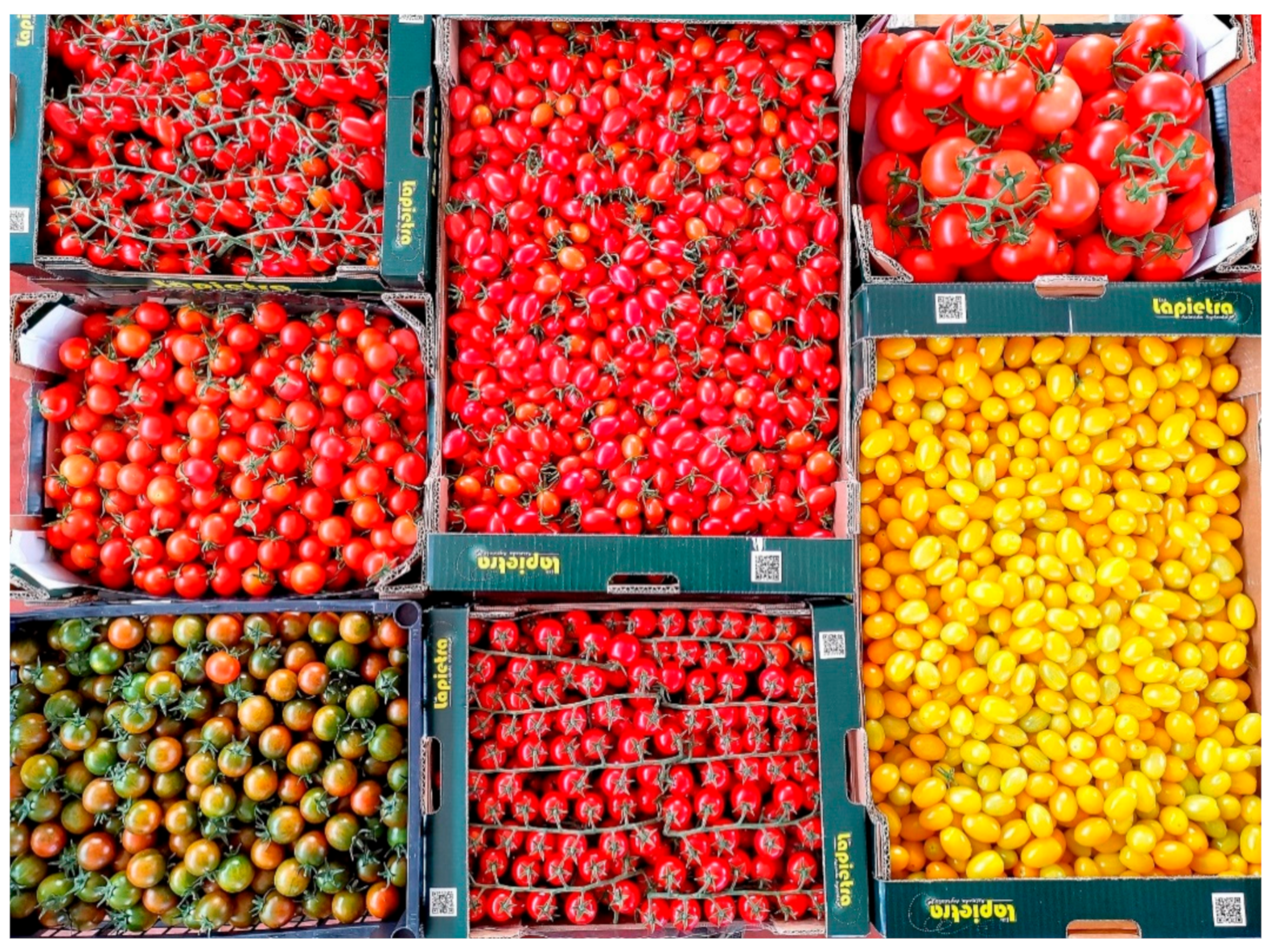 Agronomy 11 00950 g004