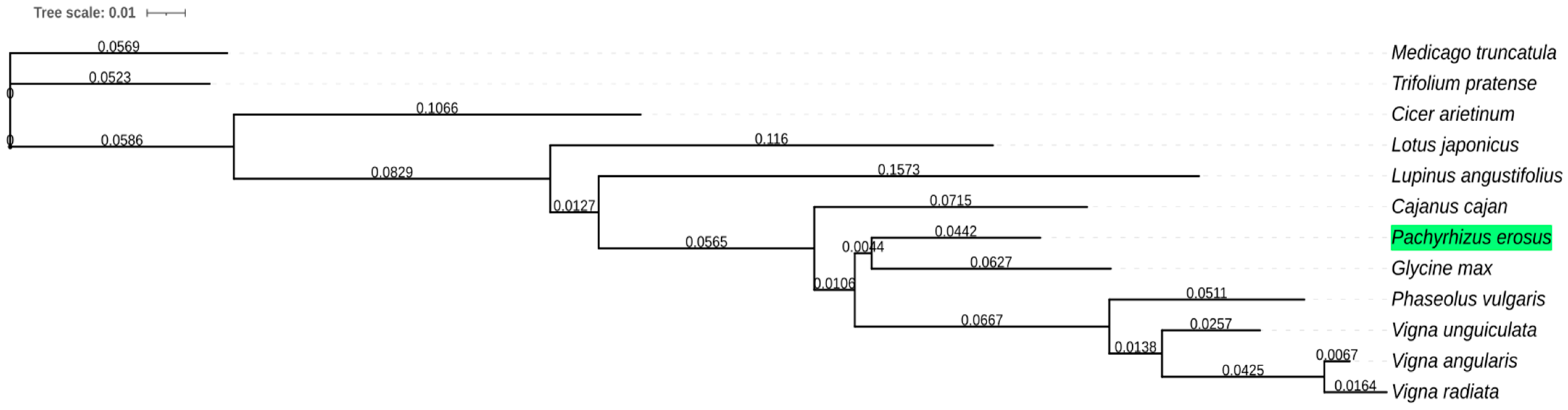 Agronomy 11 00953 g001 Agronomy 11 00953 g001