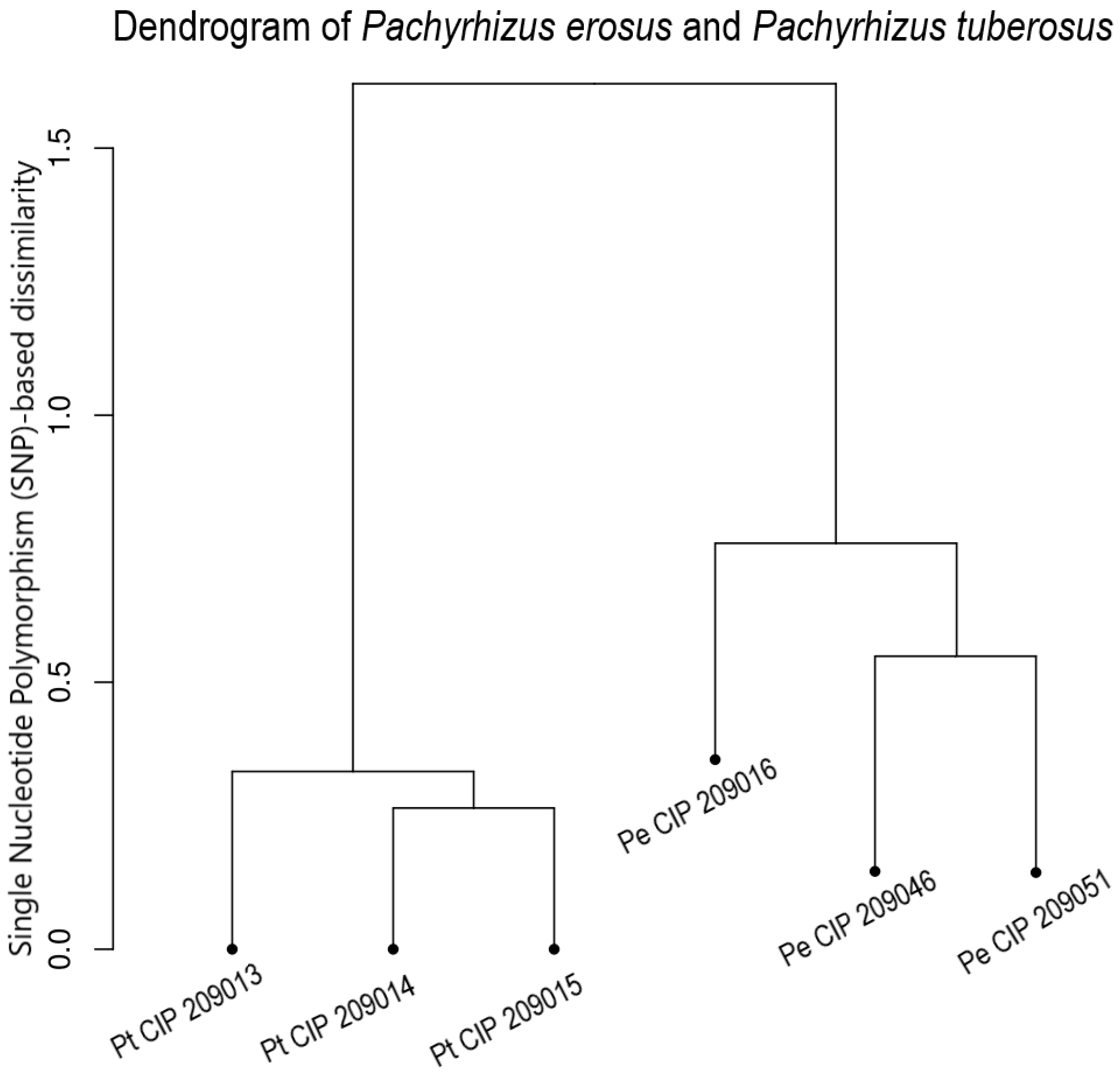 Agronomy 11 00953 g002 Agronomy 11 00953 g002