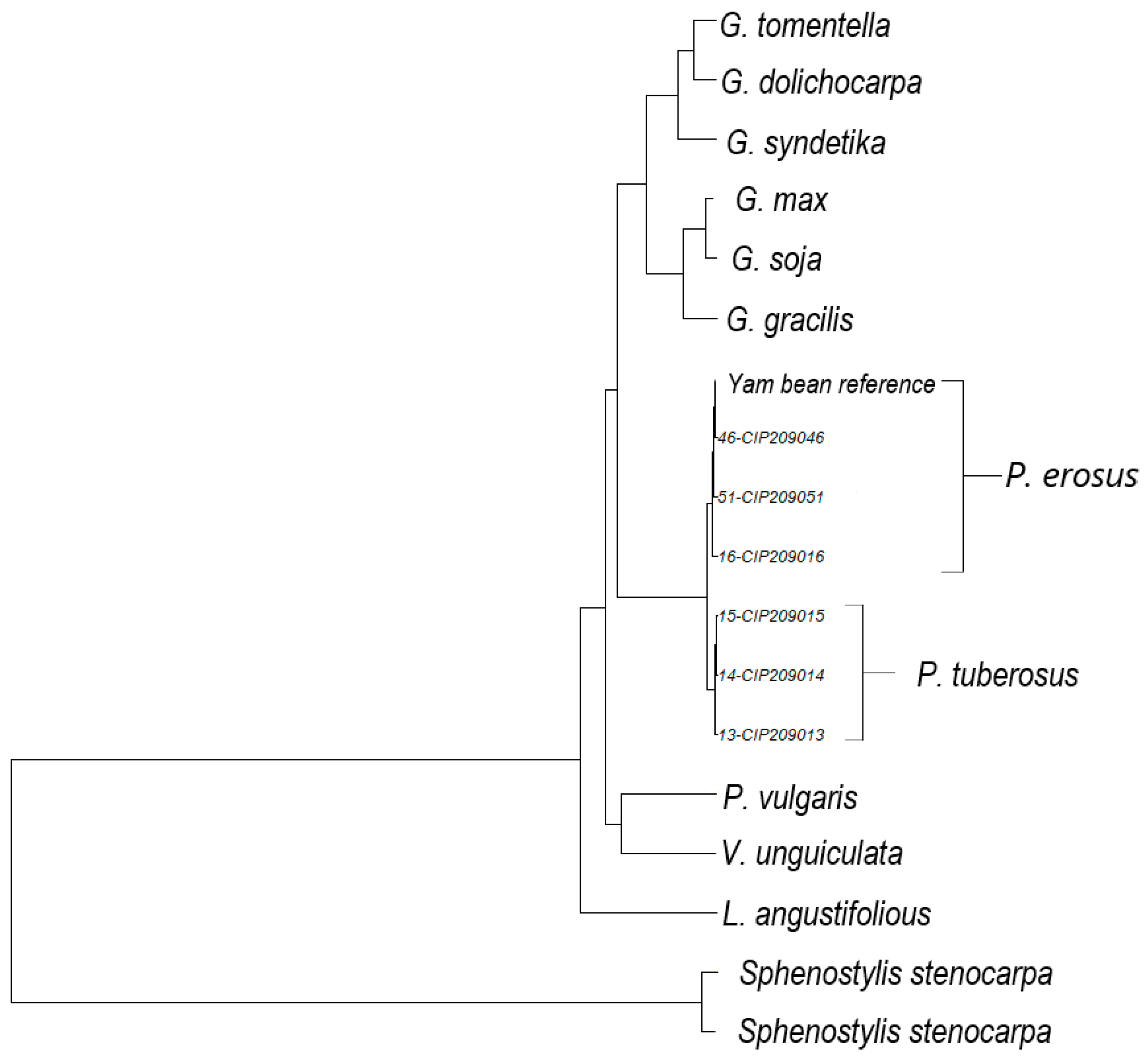 Agronomy 11 00953 g003 Agronomy 11 00953 g003