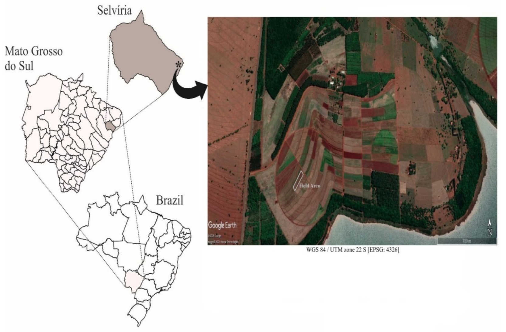 Agronomy 11 00959 g001