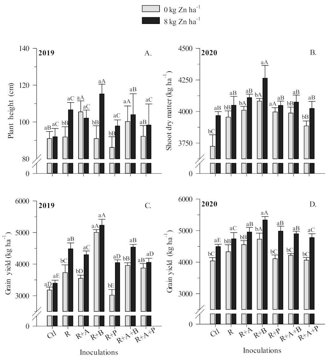 Agronomy 11 00959 g004