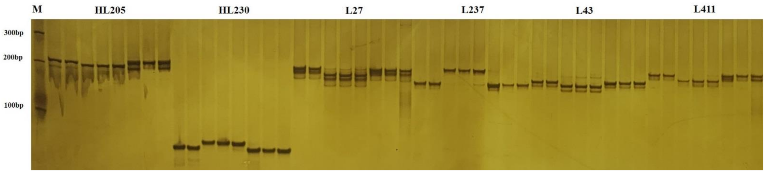 Agronomy 11 00982 g001