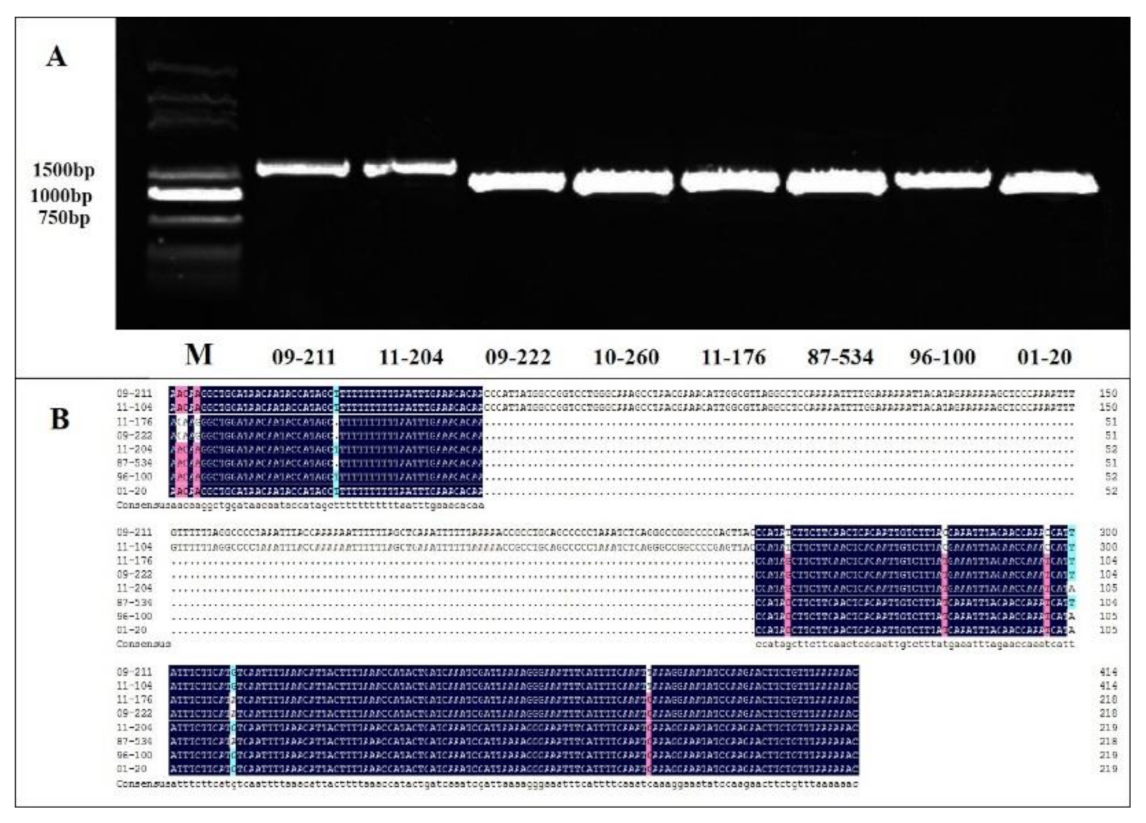 Agronomy 11 00982 g002