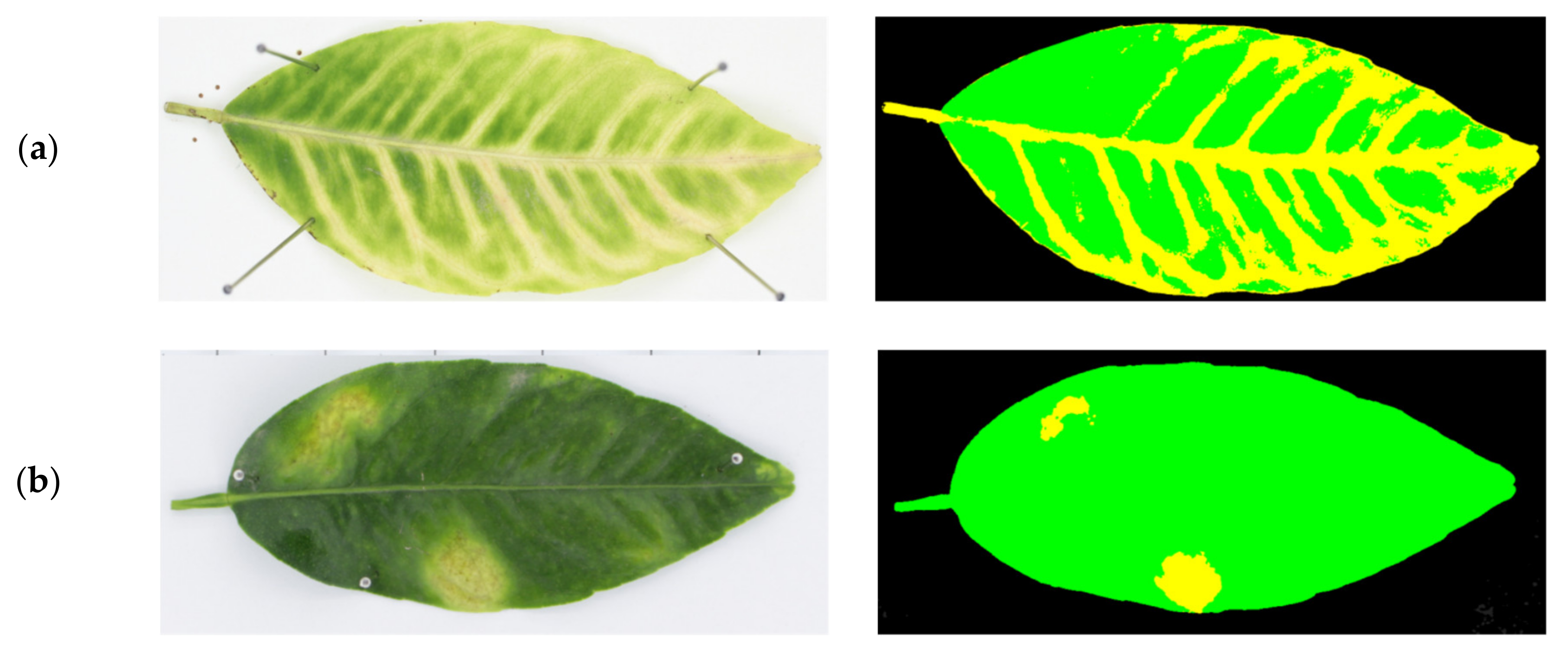 Agronomy 11 01002 g003