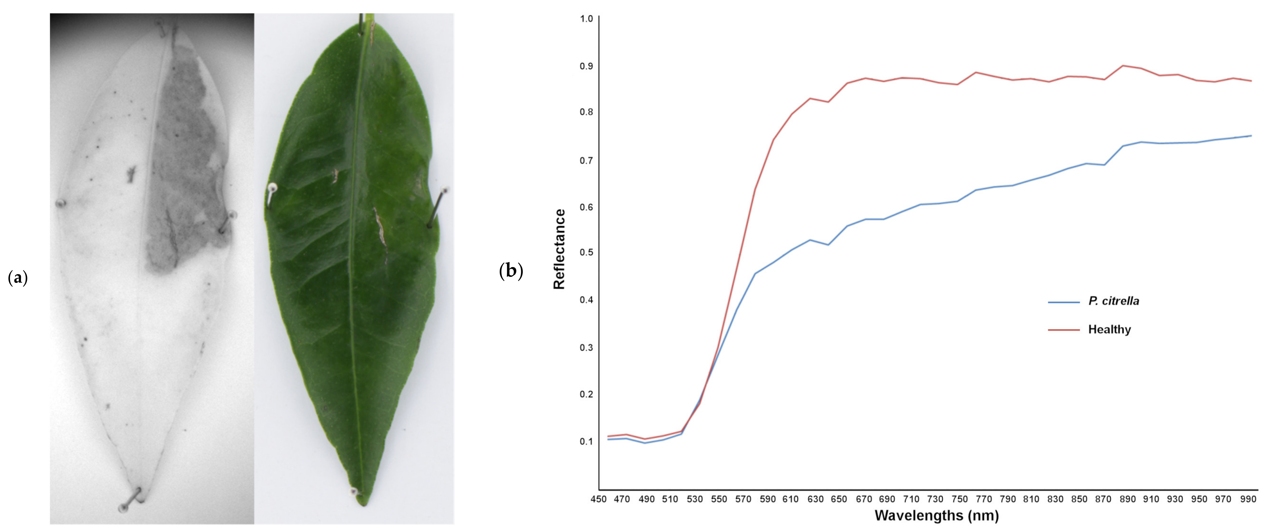 Agronomy 11 01002 g010