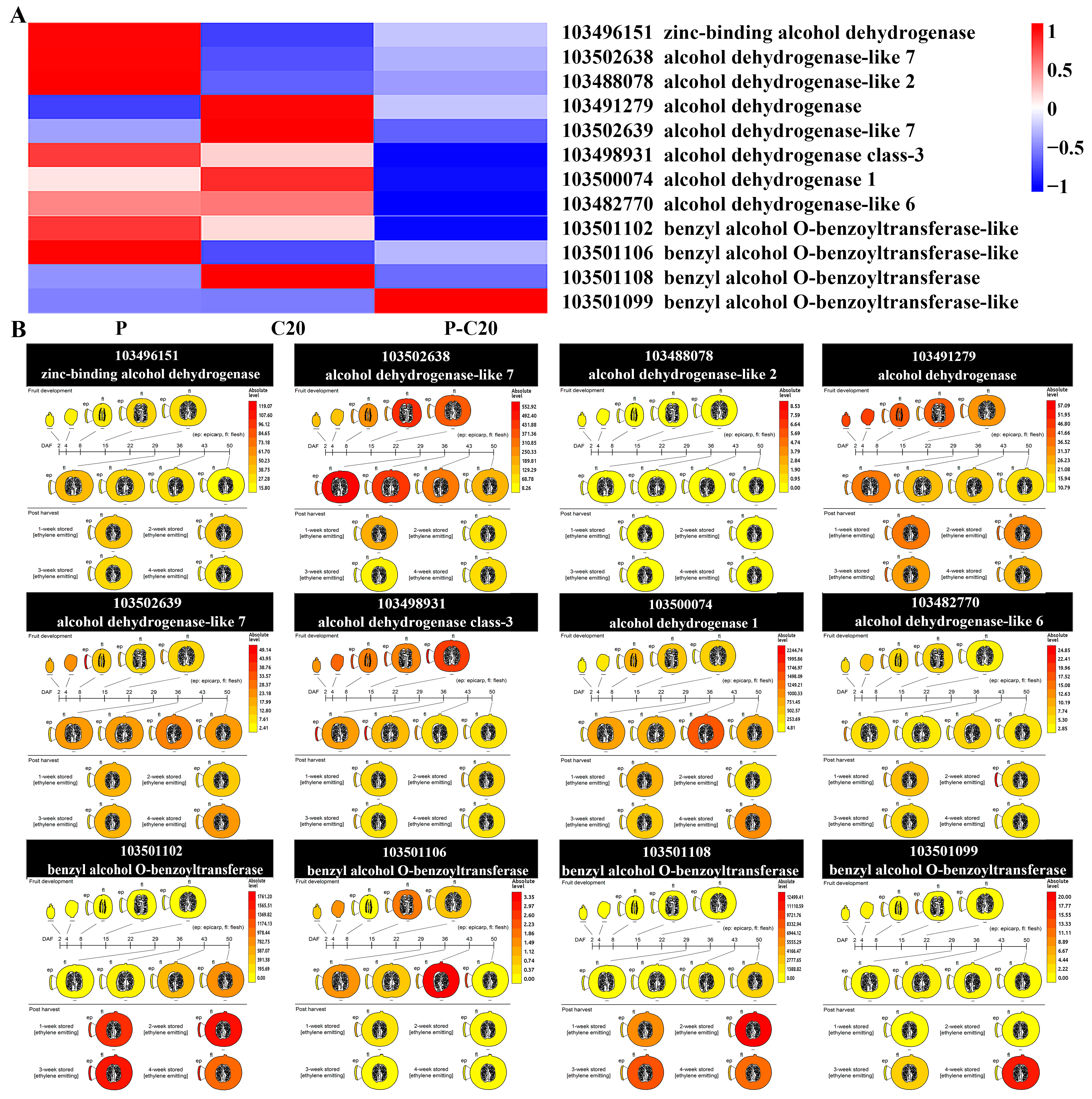 Agronomy 11 01007 g008 Agronomy 11 01007 g008
