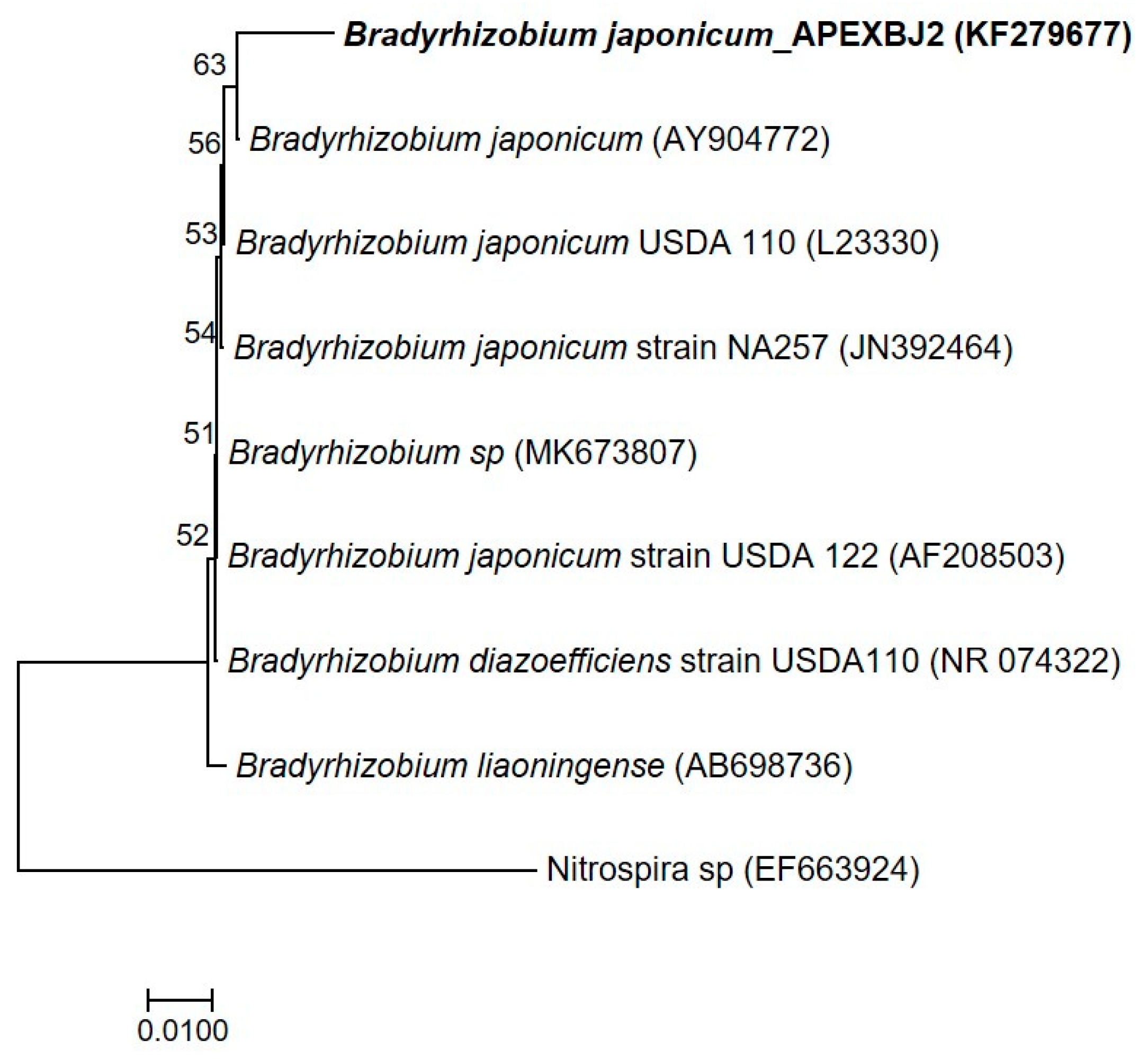 Agronomy 11 01009 g003 Agronomy 11 01009 g003
